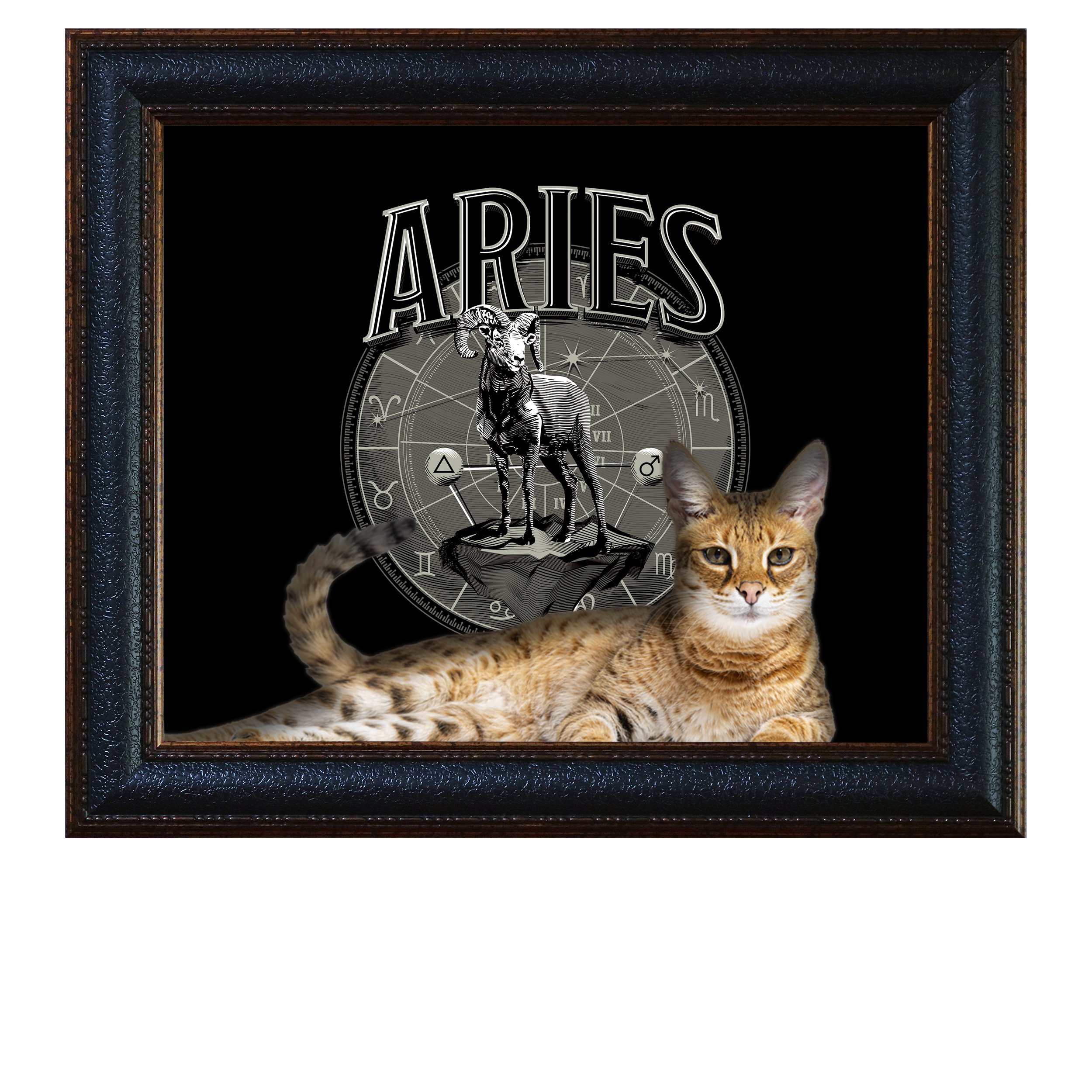 Aries-(Etched)-CAT.jpg