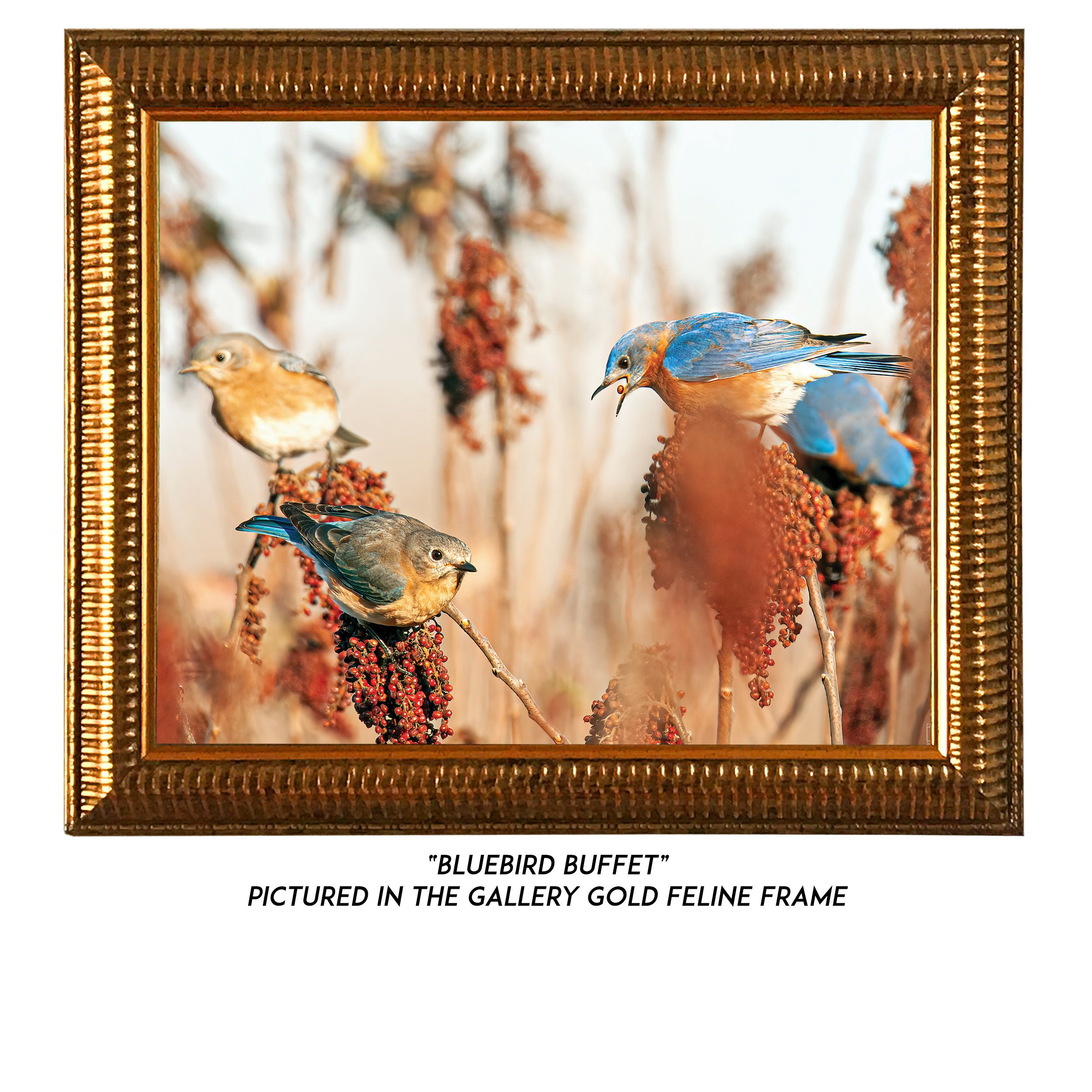 Bluebird-Buffet-G.jpg