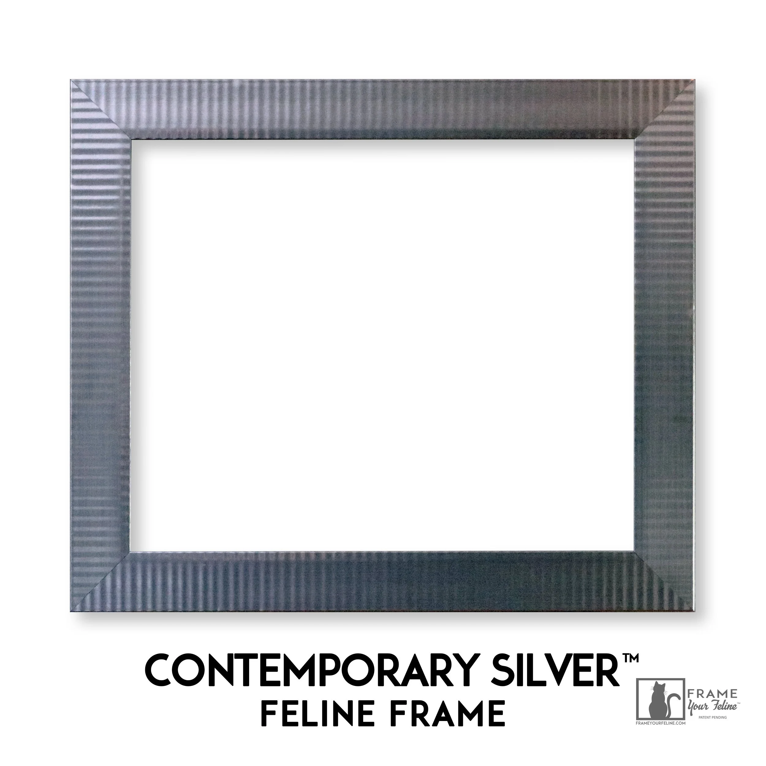 Contemporary-Silver-2-(2500x2500)-Frame.jpg (Copy)