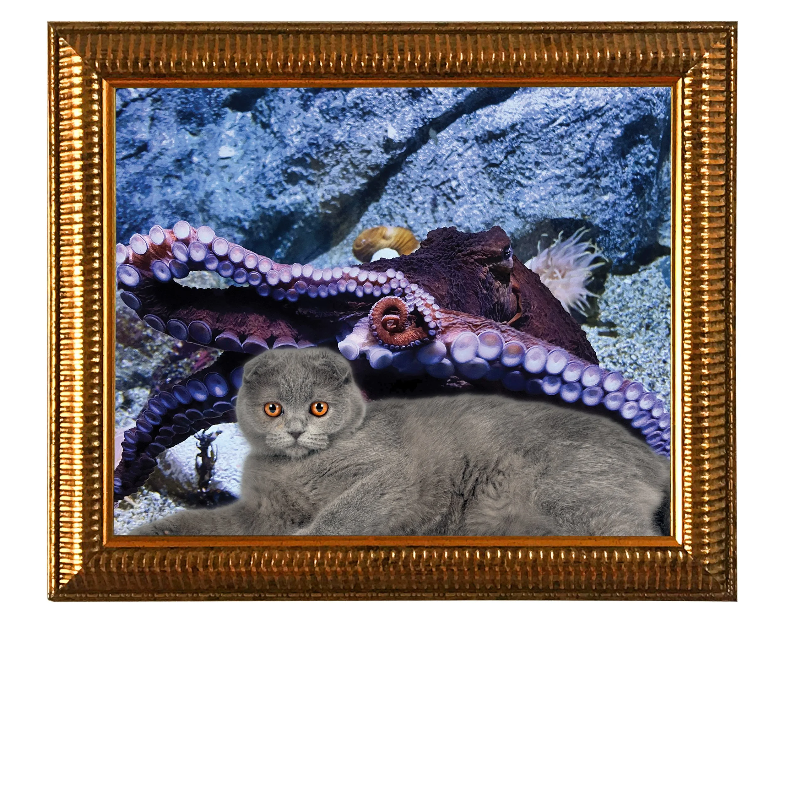 The-Lurker-CAT.jpg