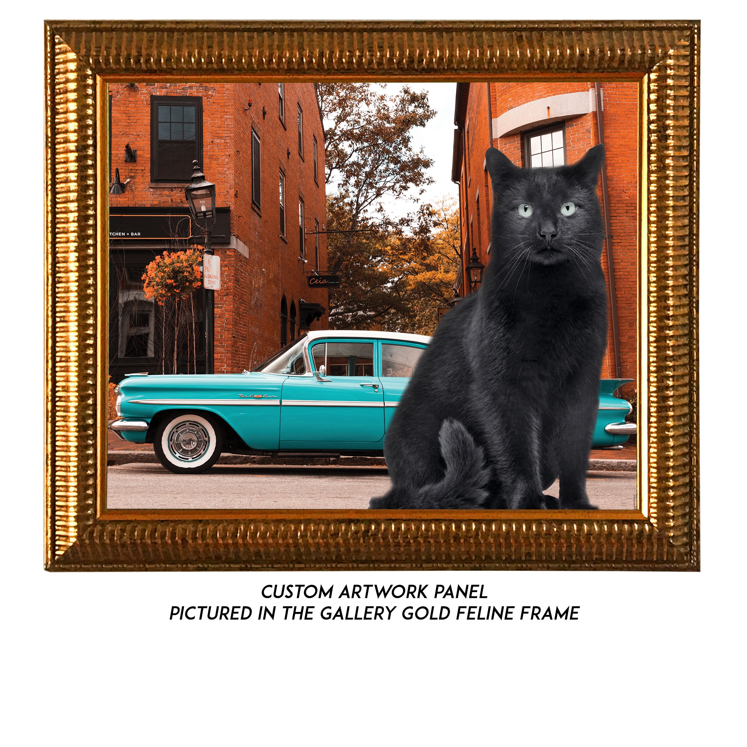 Custom-Car-1-Cat.jpg