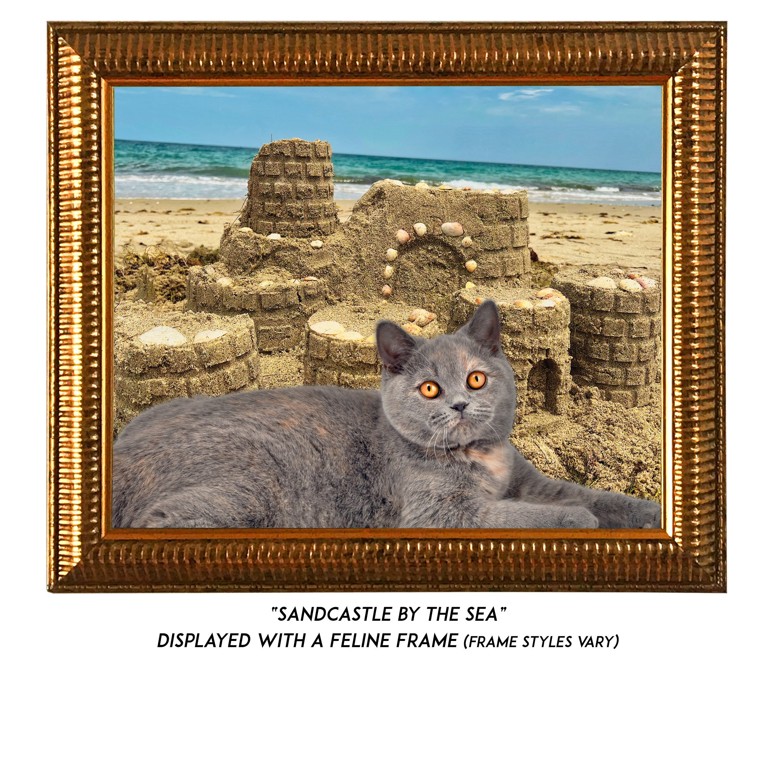 Sandcastle-CAT.jpg