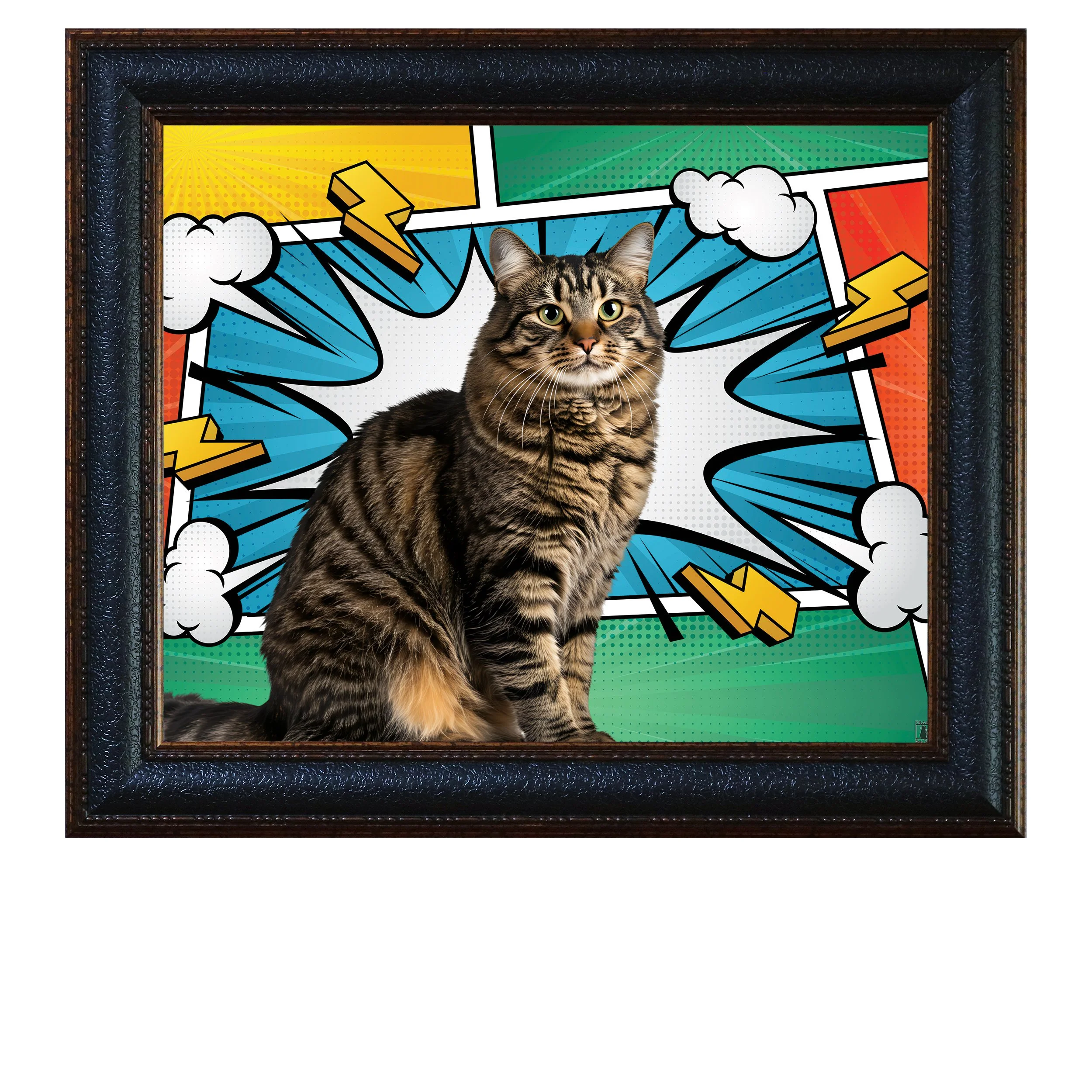 Supurr-Hero-CAT.jpg