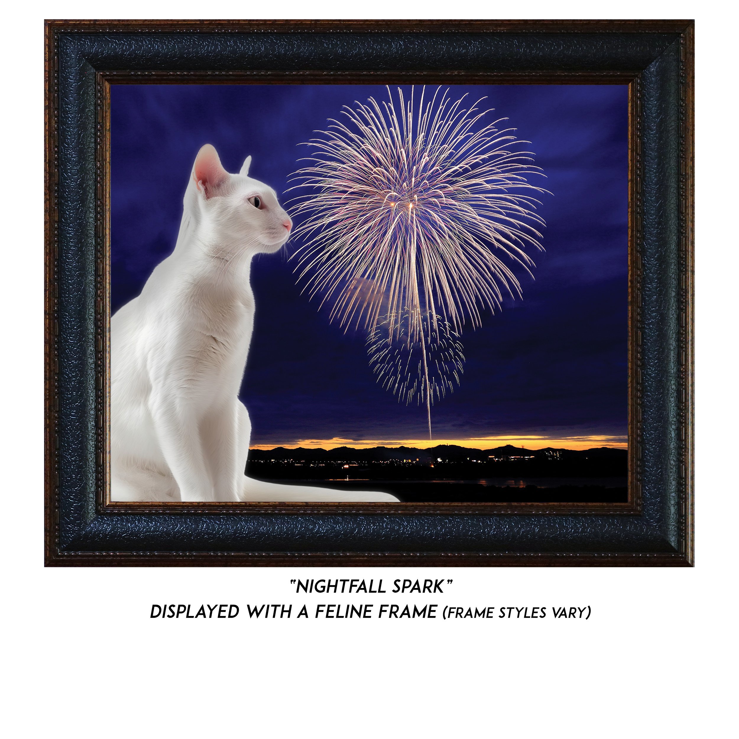 Nightfall-Spark-CAT.jpg