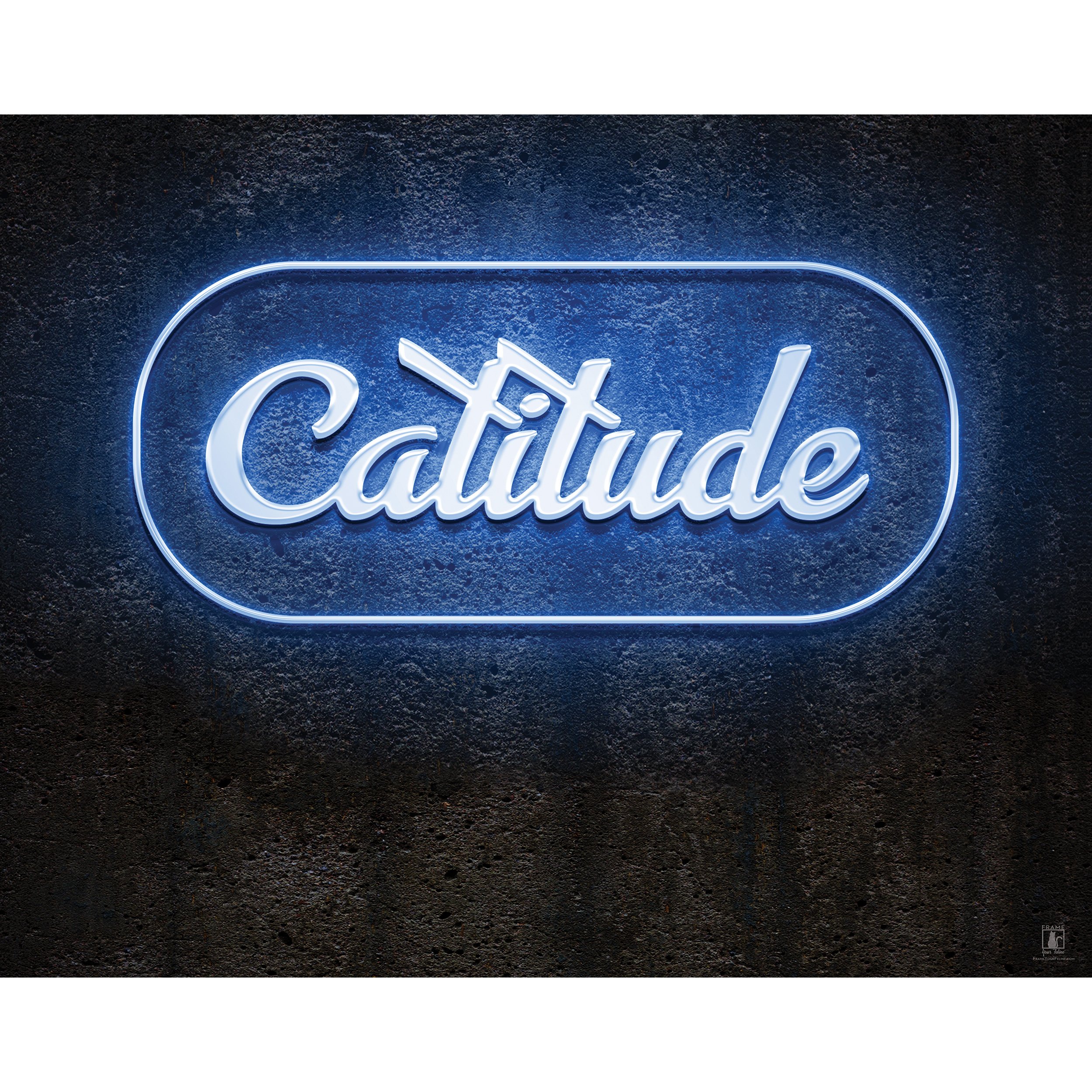 "Catitude" (Blue) | By Brian Vermeire