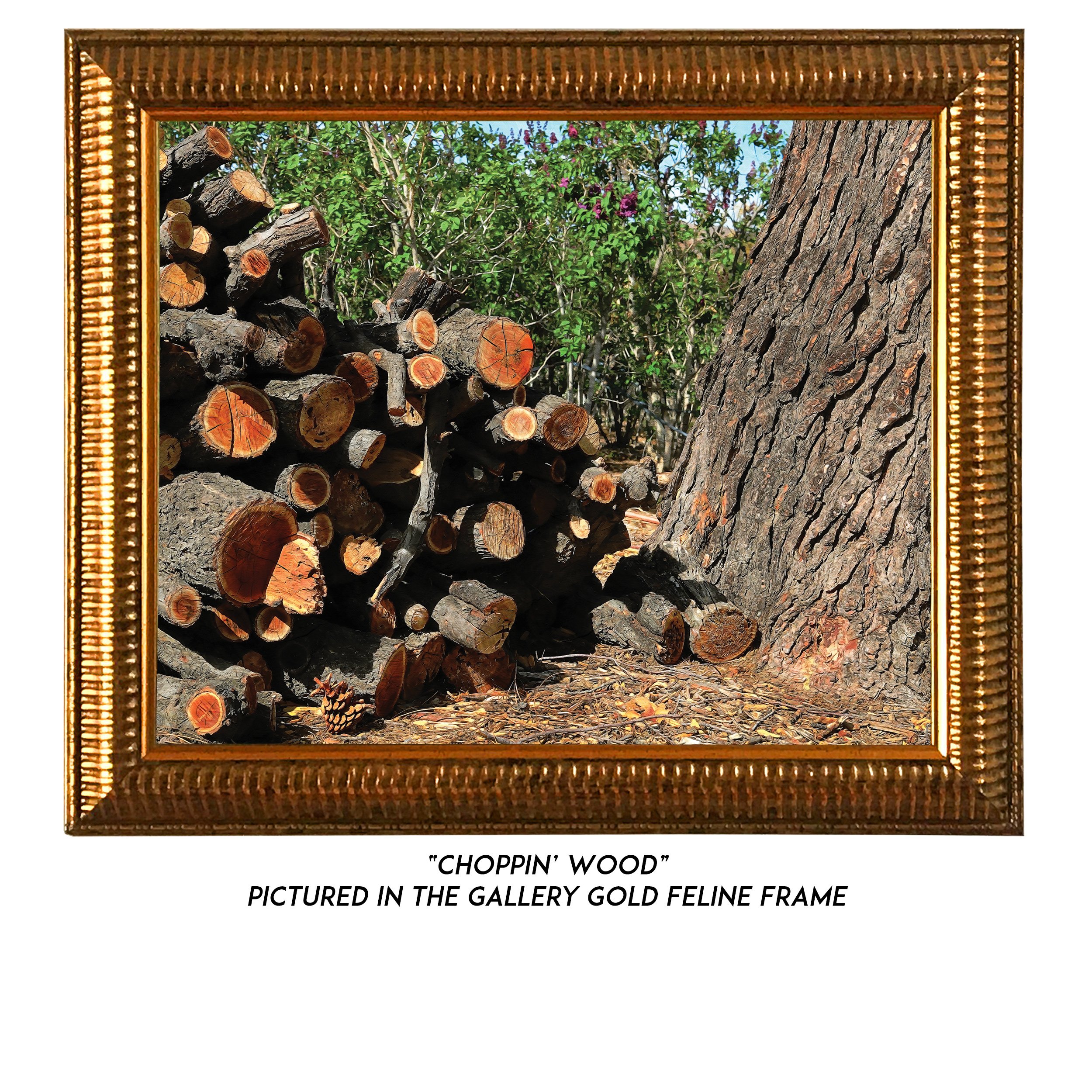 Artwork-Panel-G.jpg