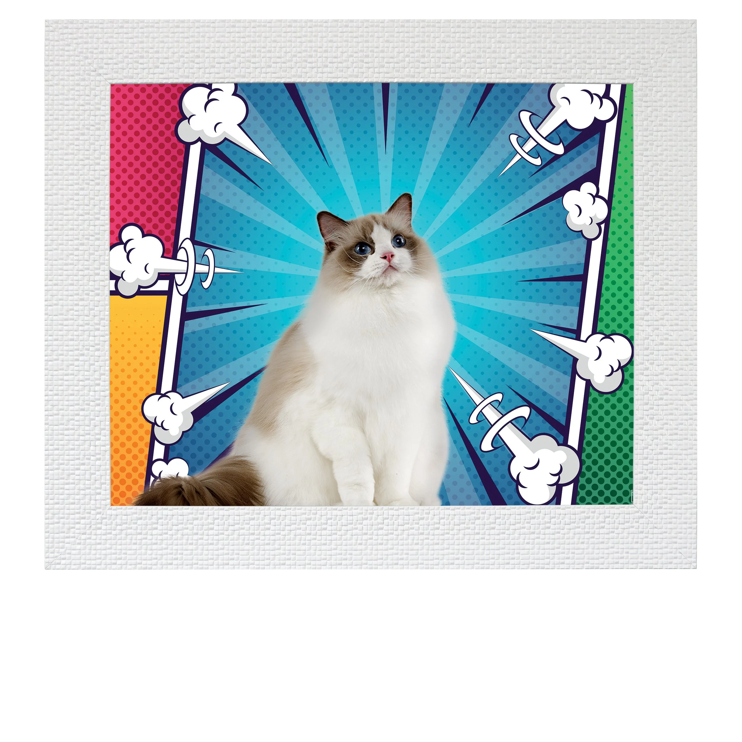 Hero-Arrival-CAT.jpg