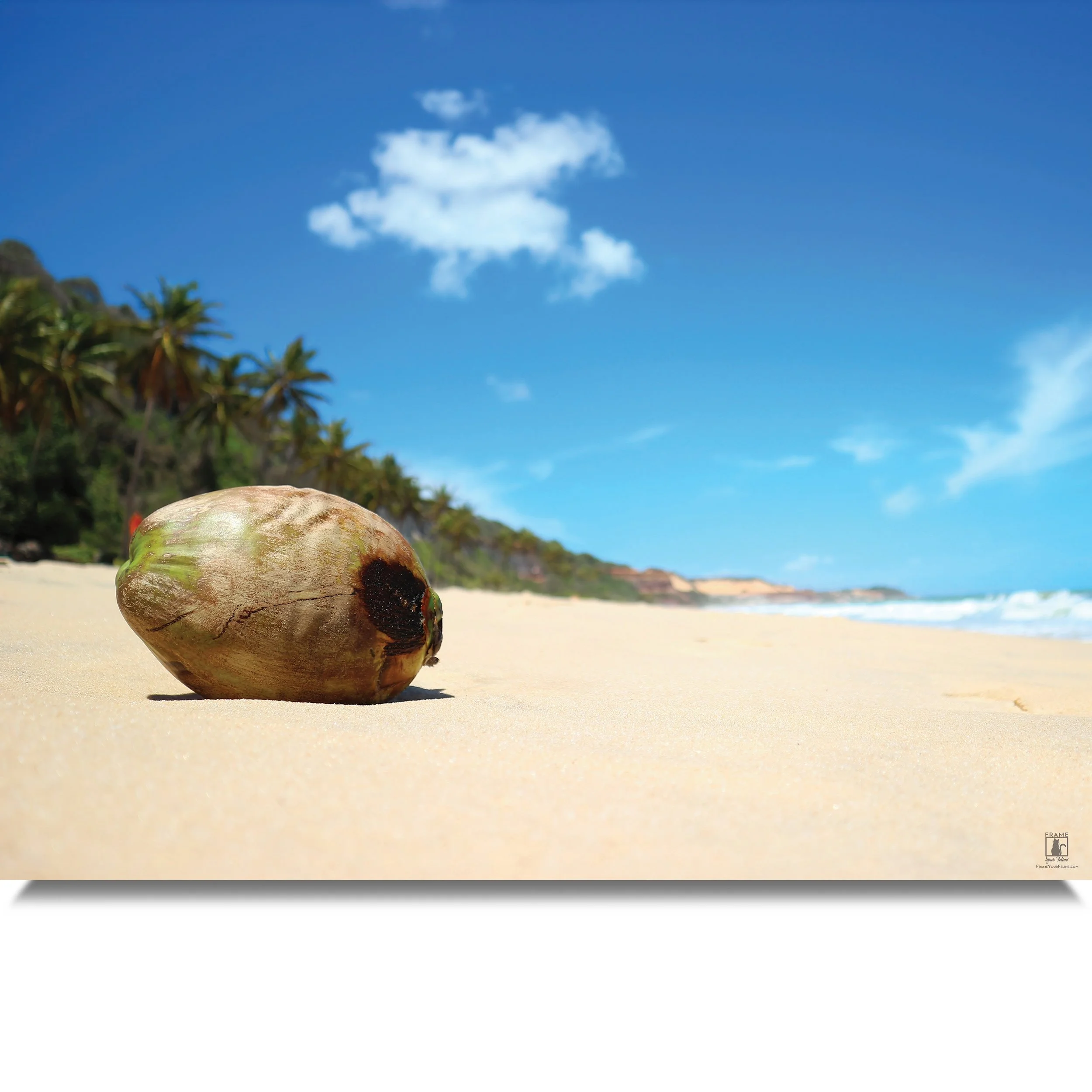Lone-Coconut-MB.jpg