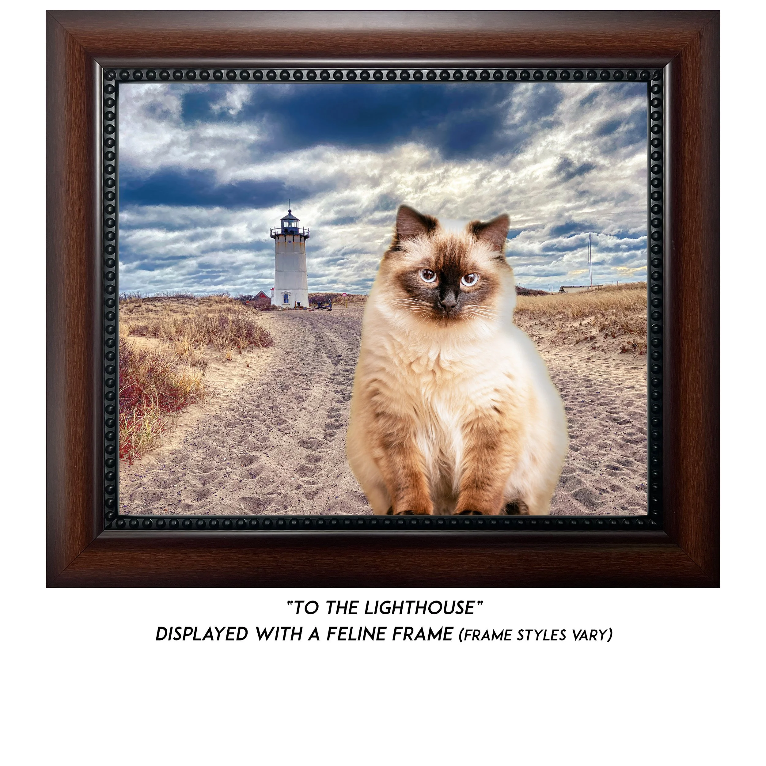 To-The-Lighthouse-Cat.jpg (Copy)