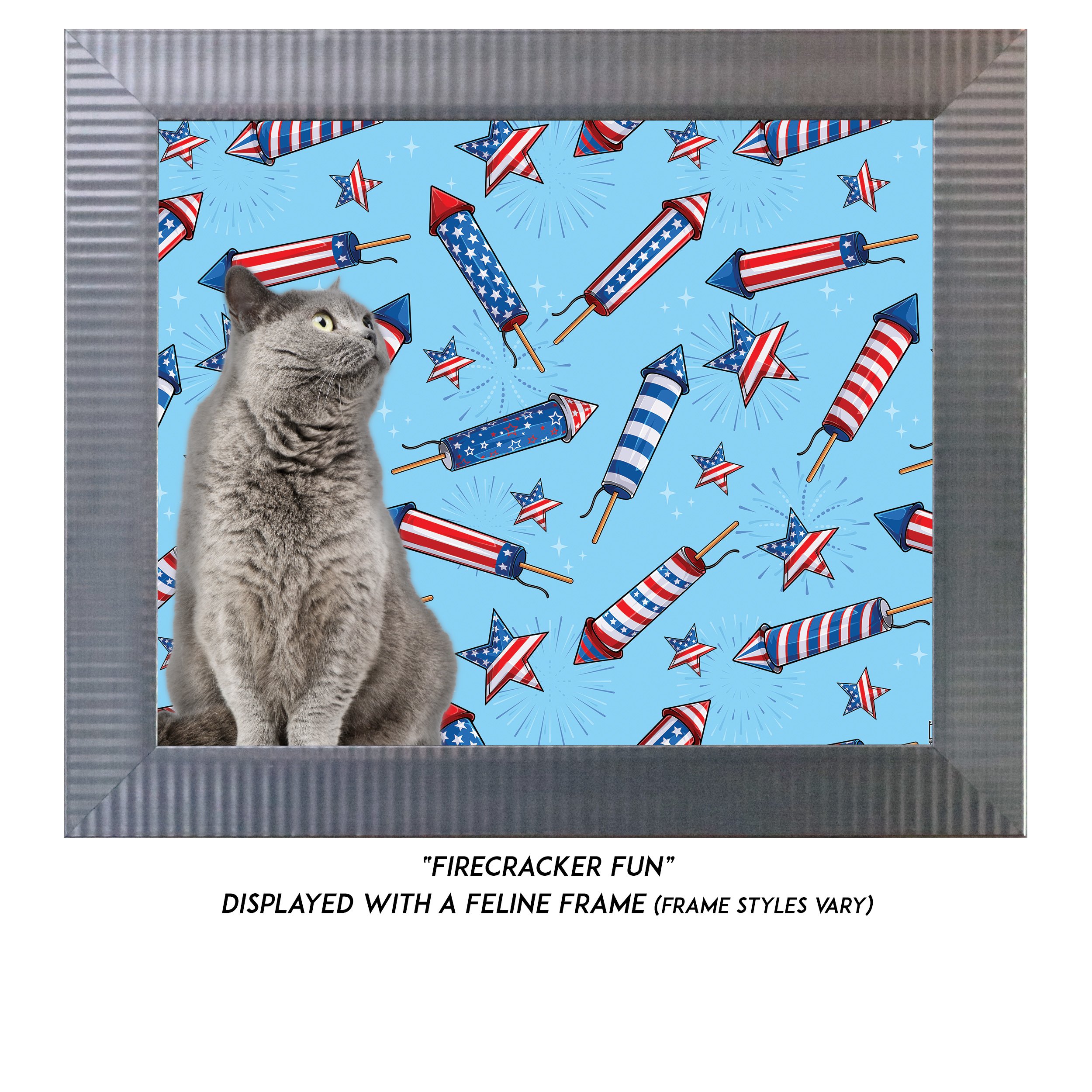 Firecracker-Fun-CAT.jpg