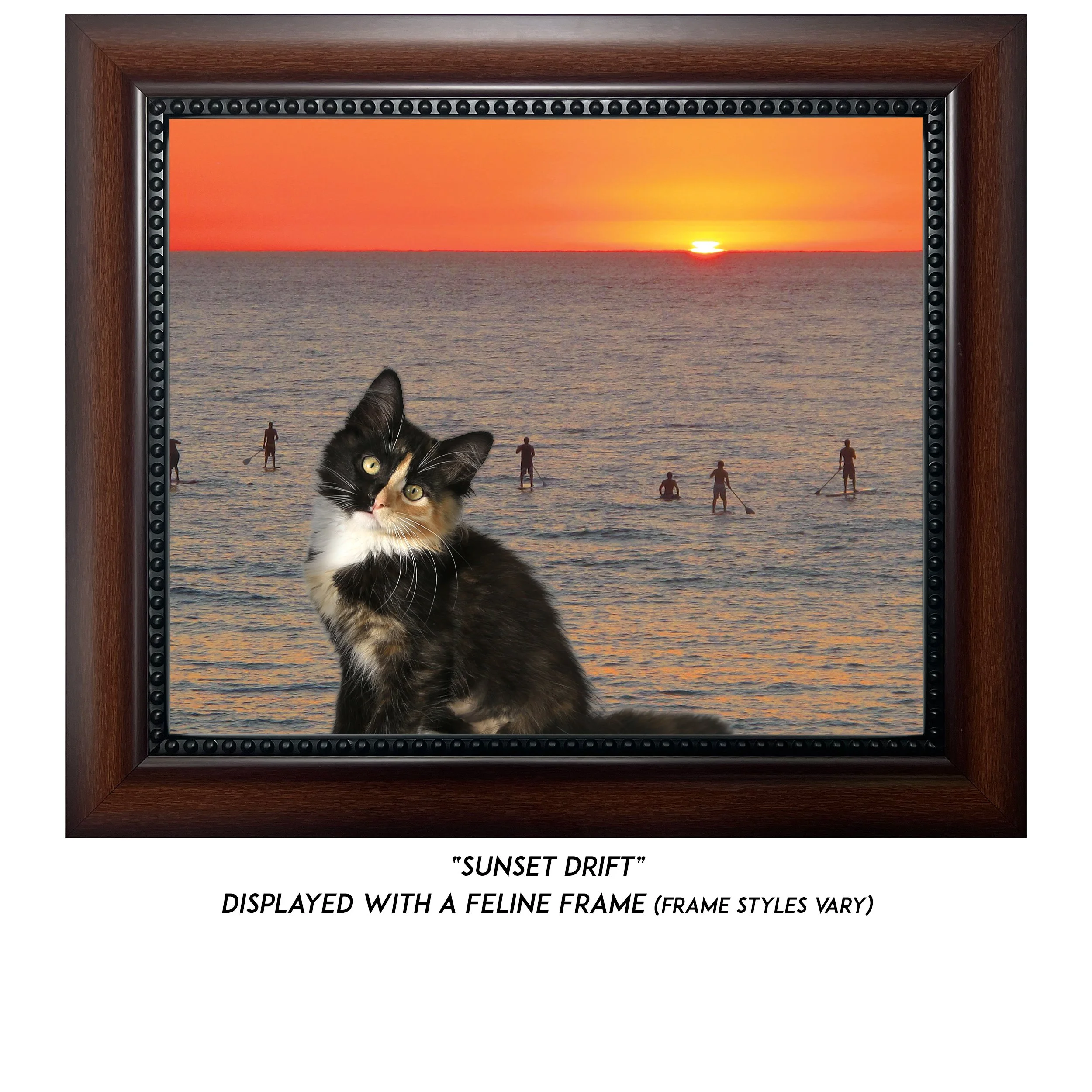 Sunset-Drift-CAT.jpg