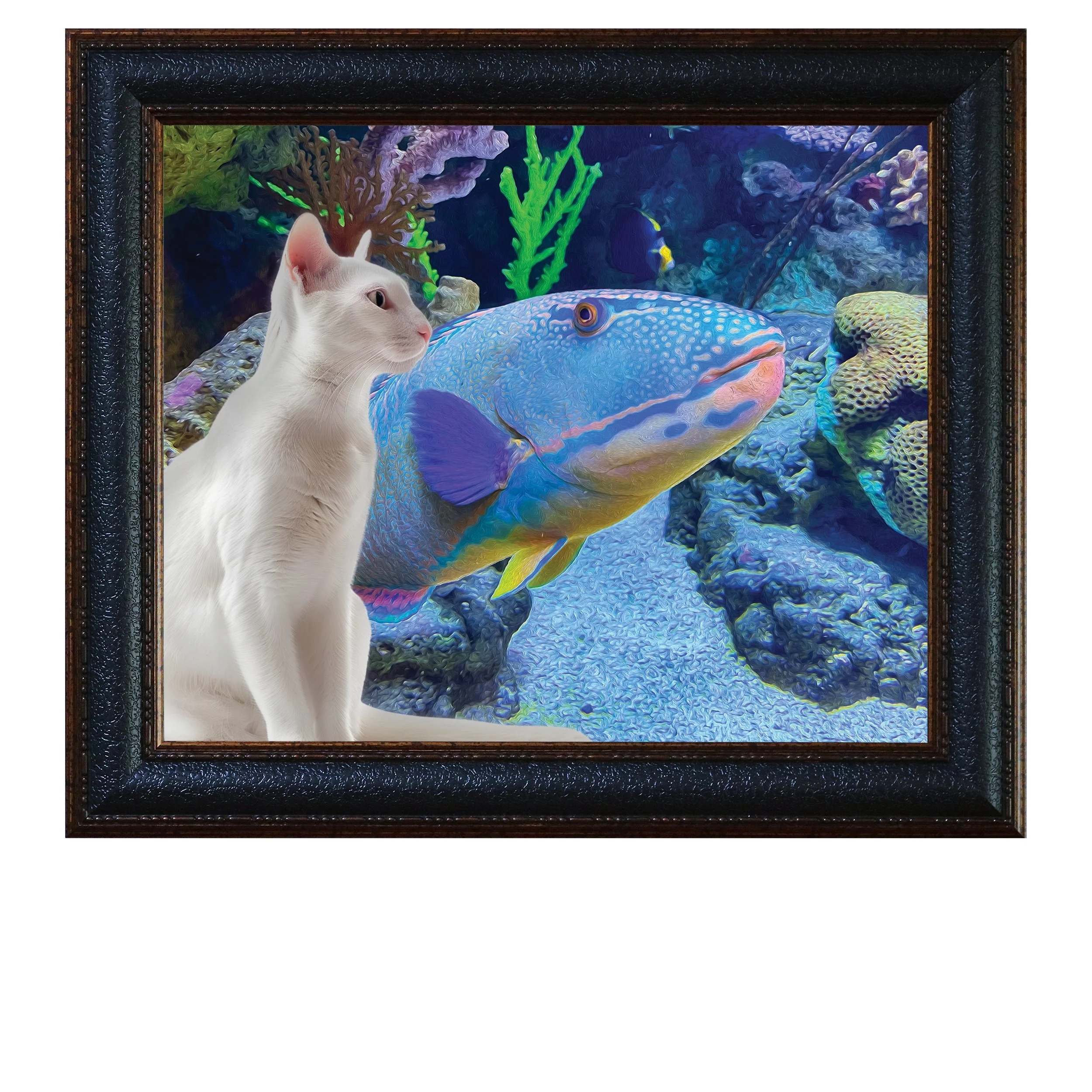 Come-Closer-CAT.jpg