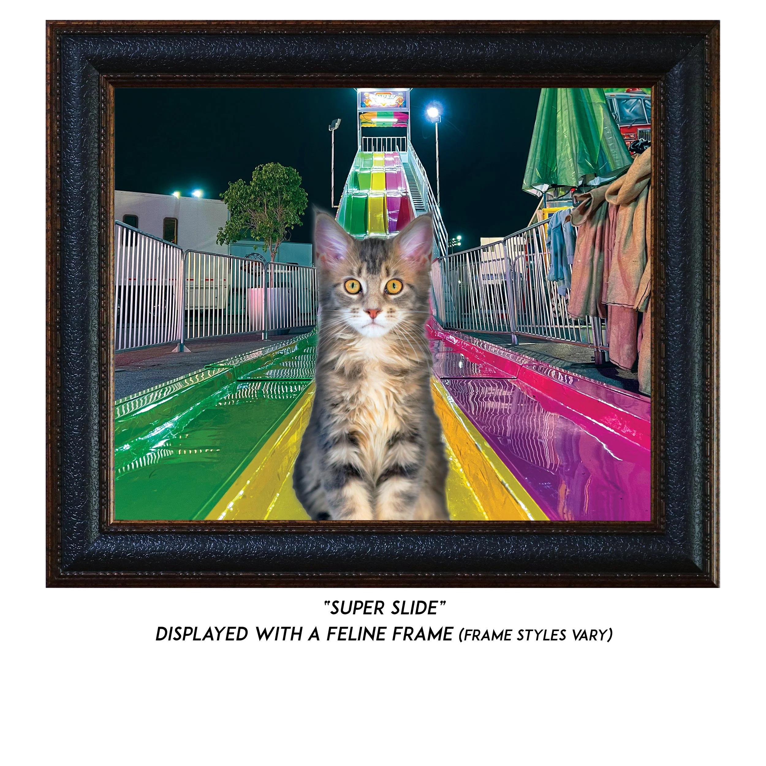 Super-Slide-CAT.jpg