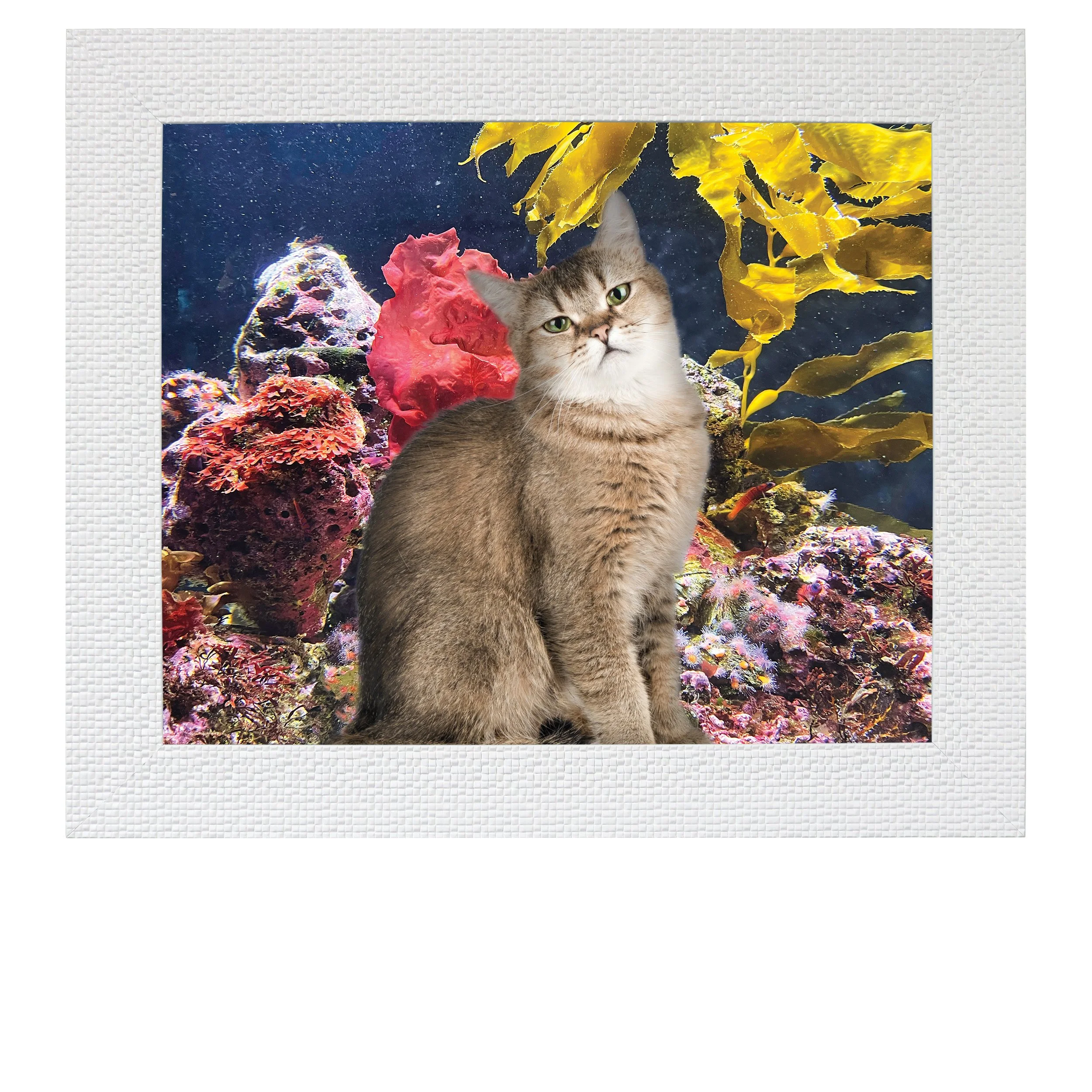 Hidden-Gobies-CAT.jpg