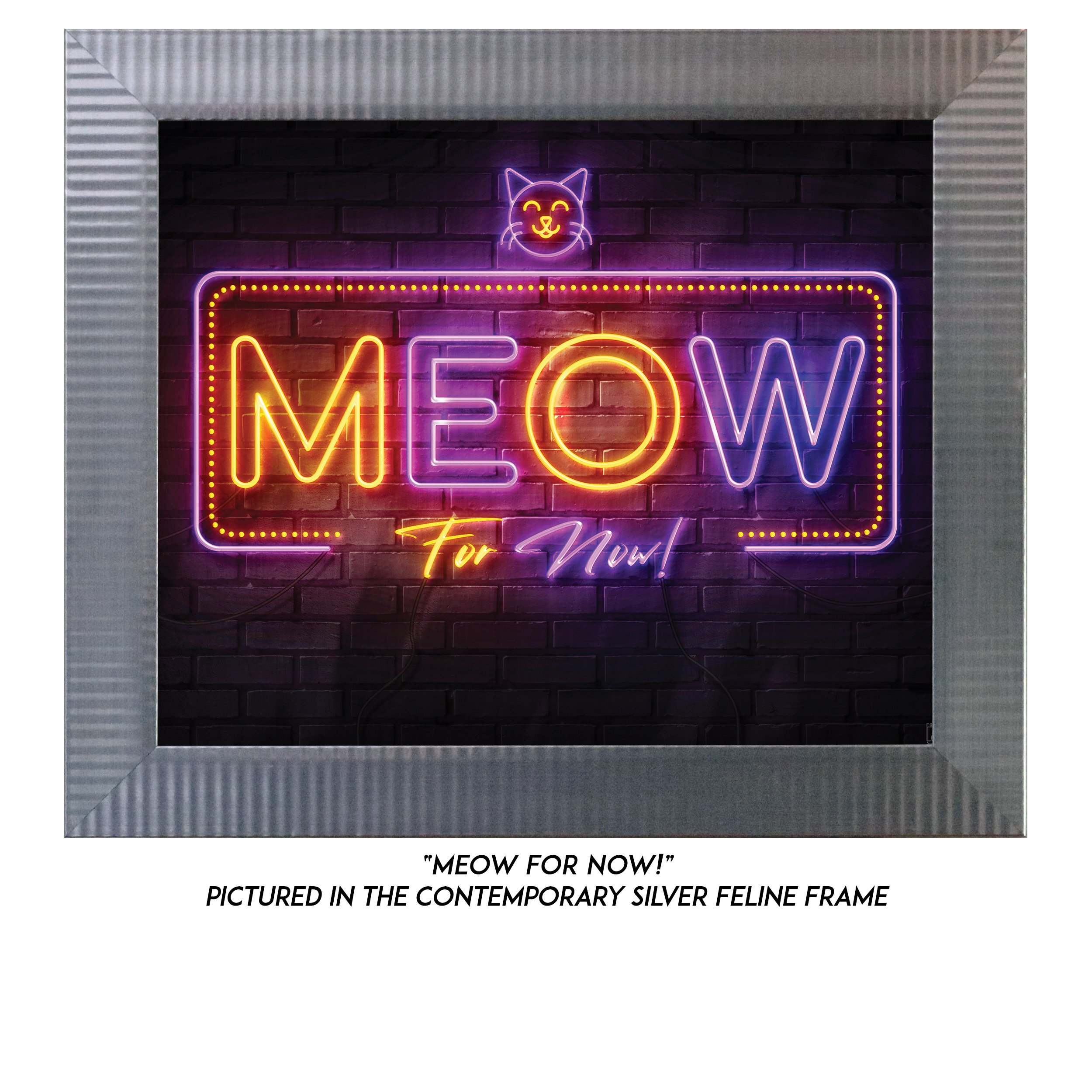 Meow-For-Now-S.jpg