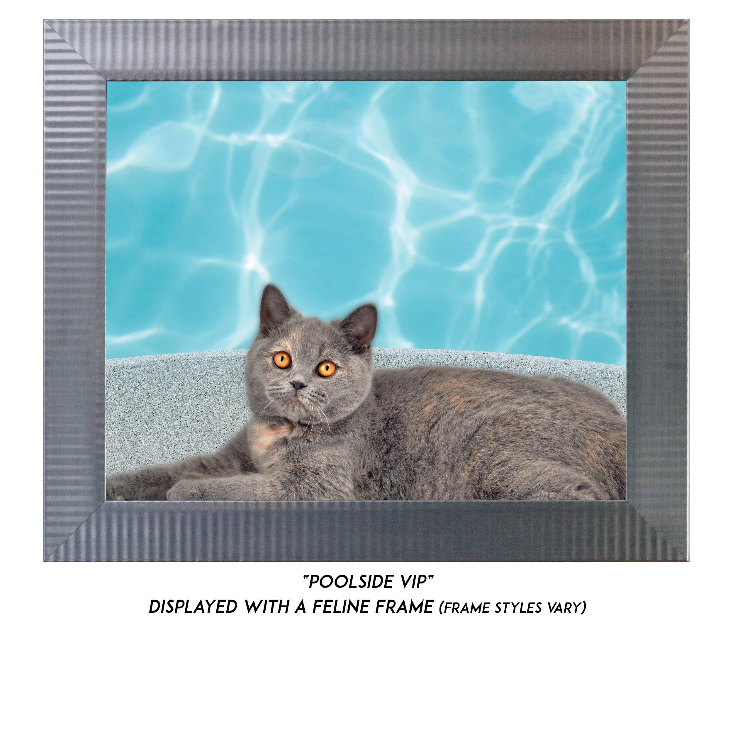Poolside-VIP-CATT.jpg