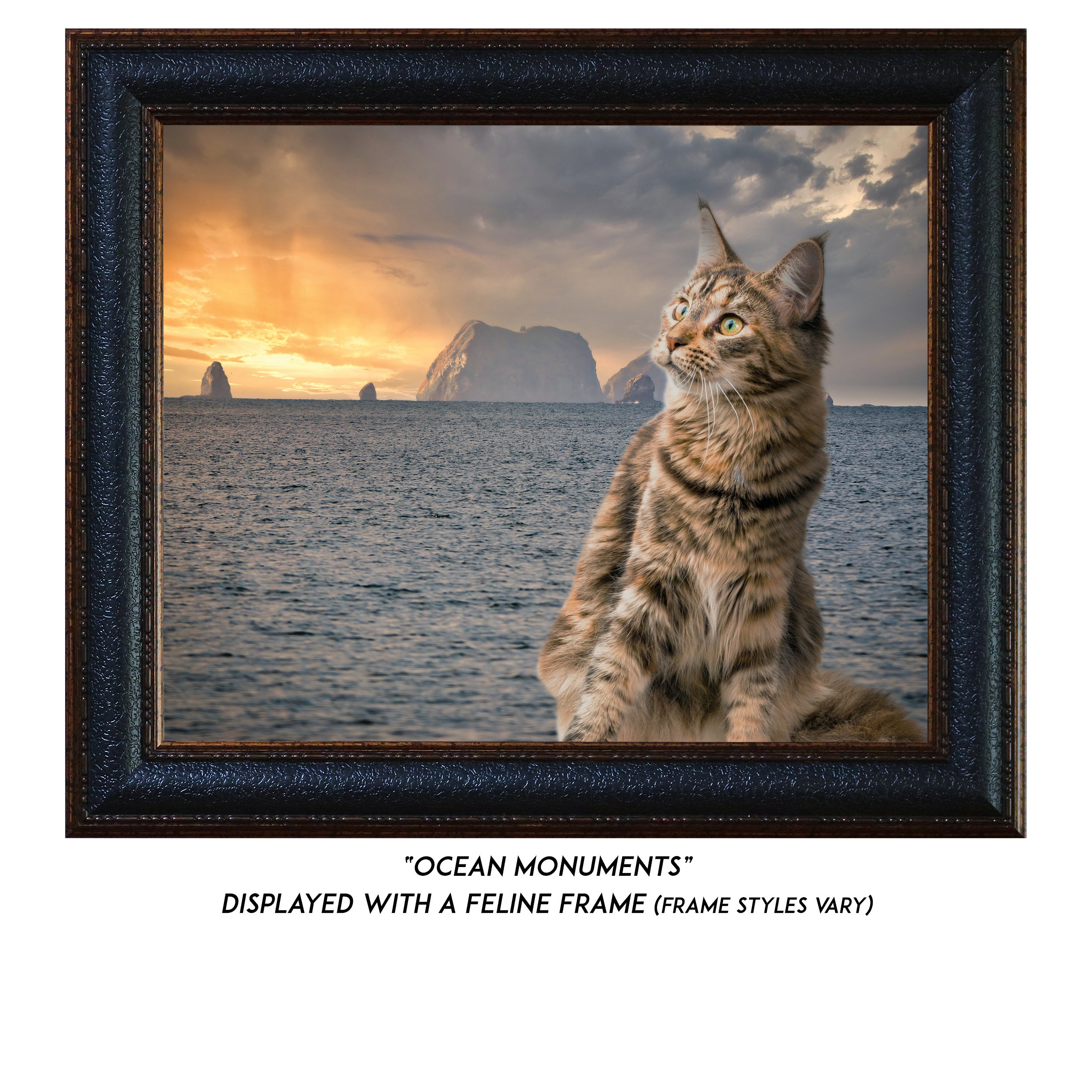 Ocean-Monuments-CAT.jpg