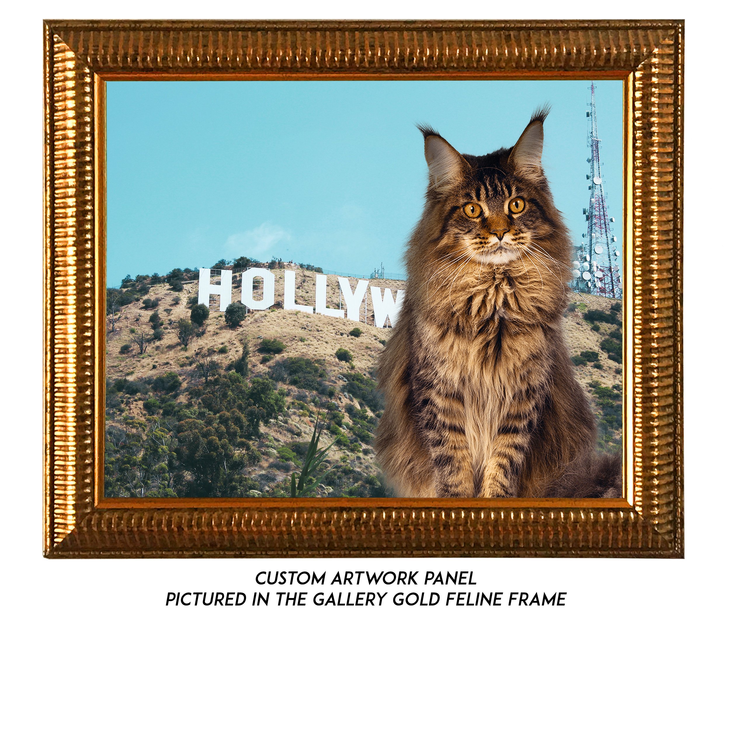 Custom-Vacation-1-Cat.jpg