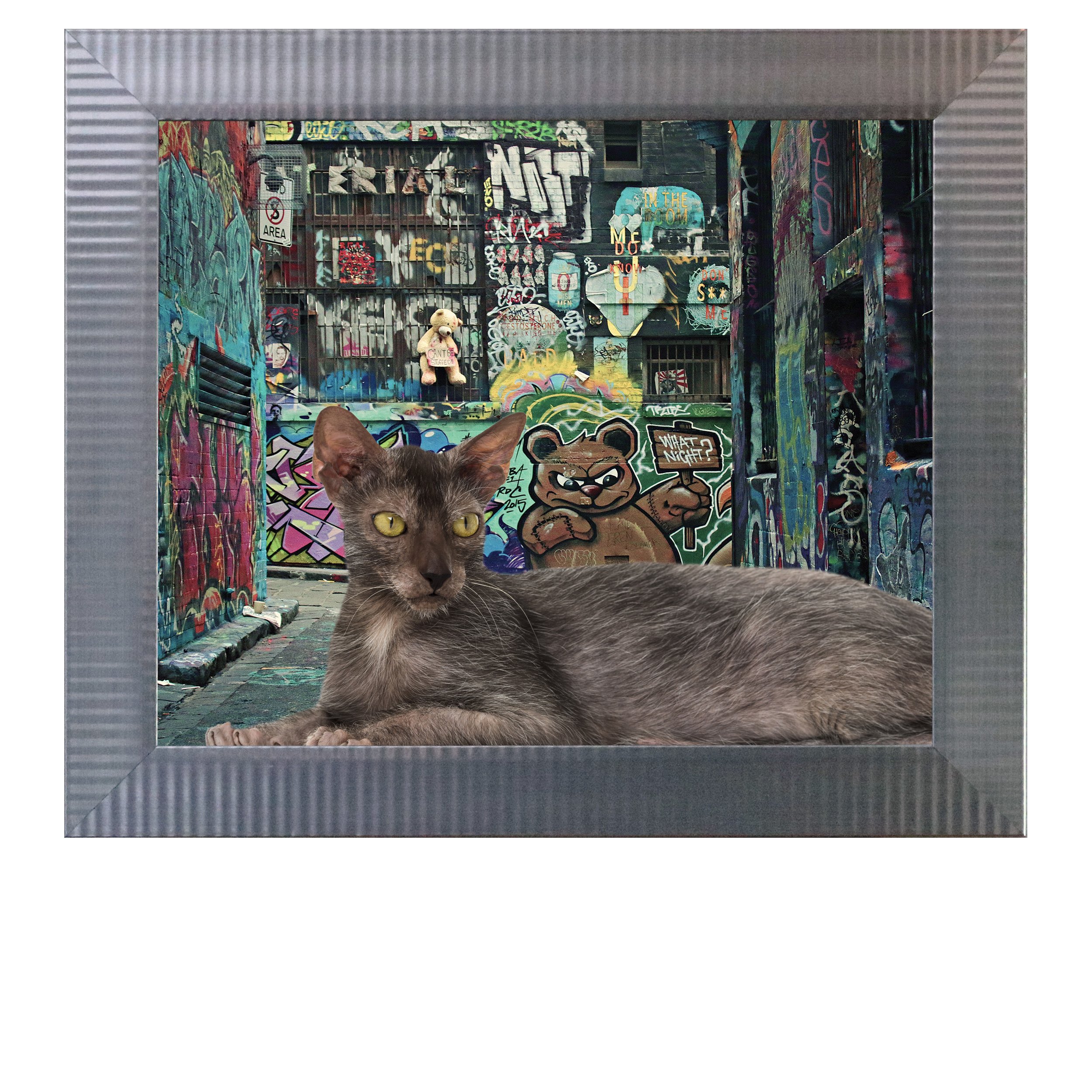Graffiti-Bear-CAT.jpg