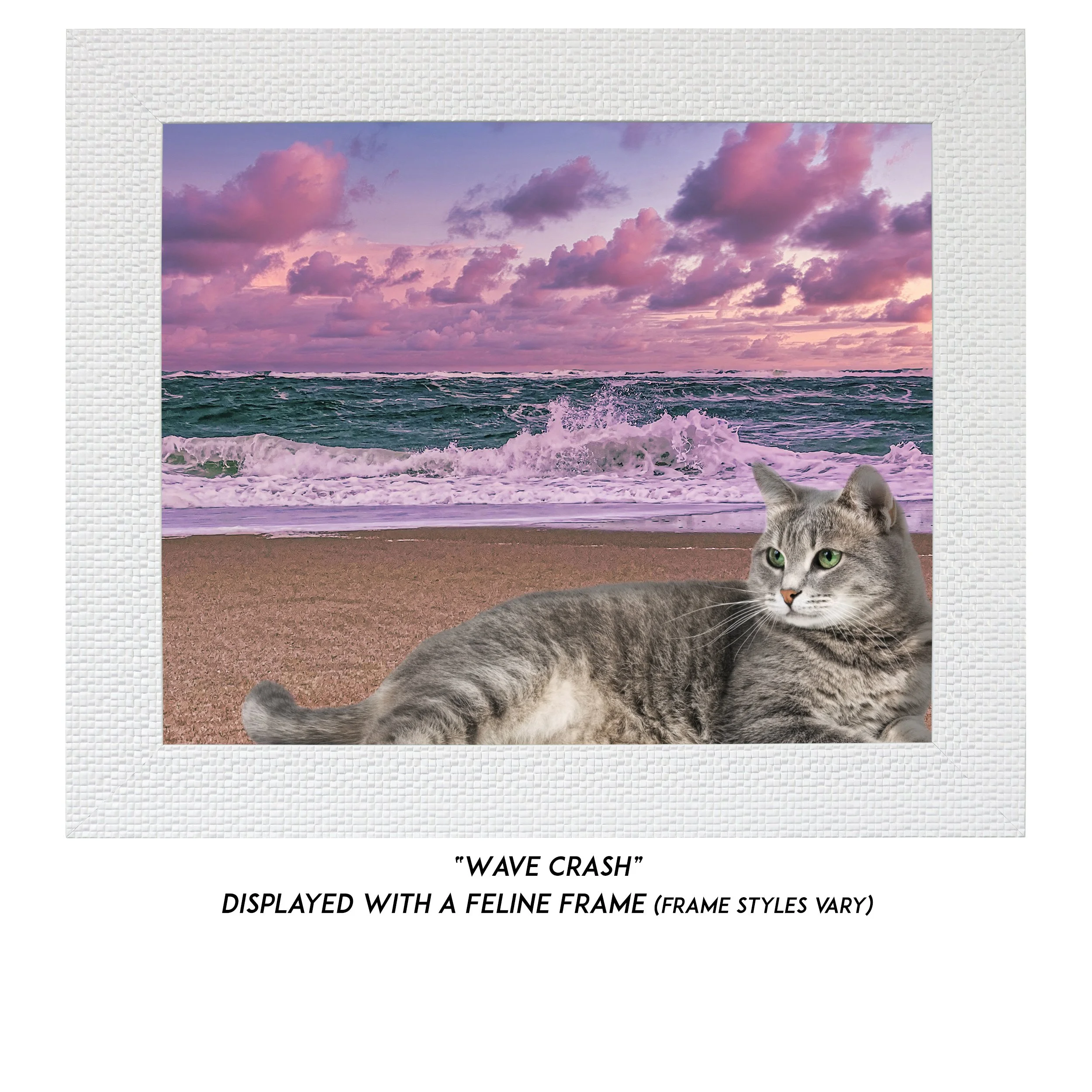 Wave-Crash-Cat.jpg (Copy)