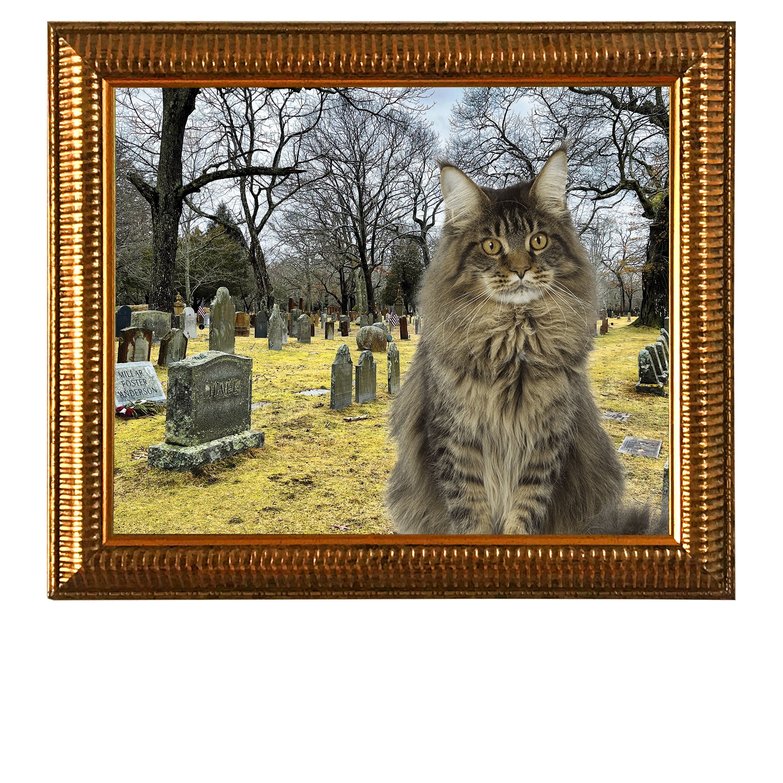 Graveyard-Hall-CAT.jpg