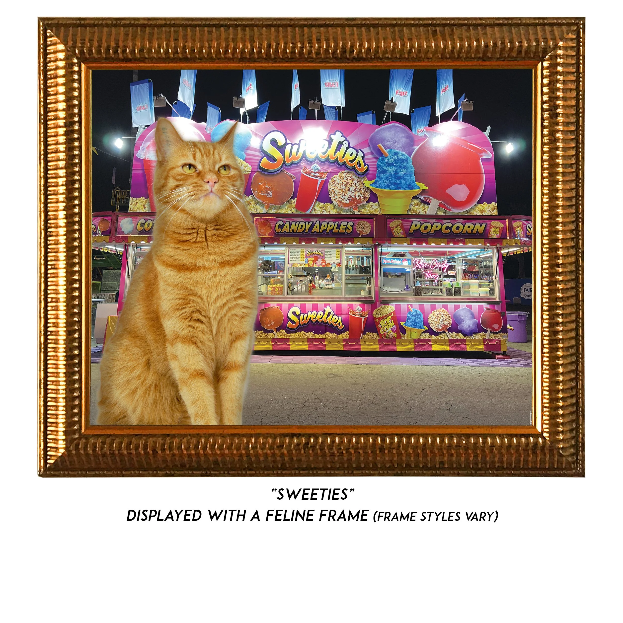 Sweeties-CAT.jpg