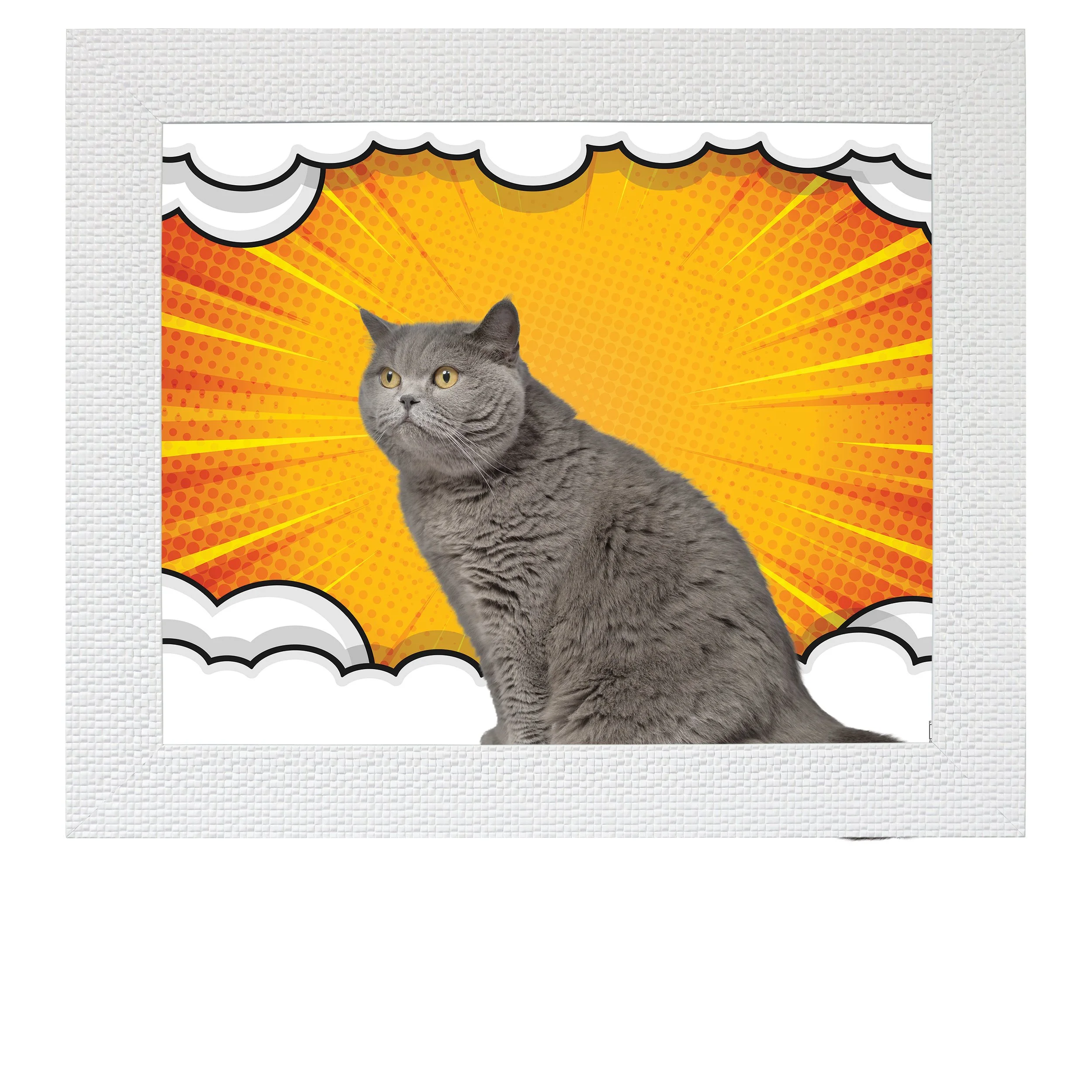 Puff-Burst-CAT.jpg