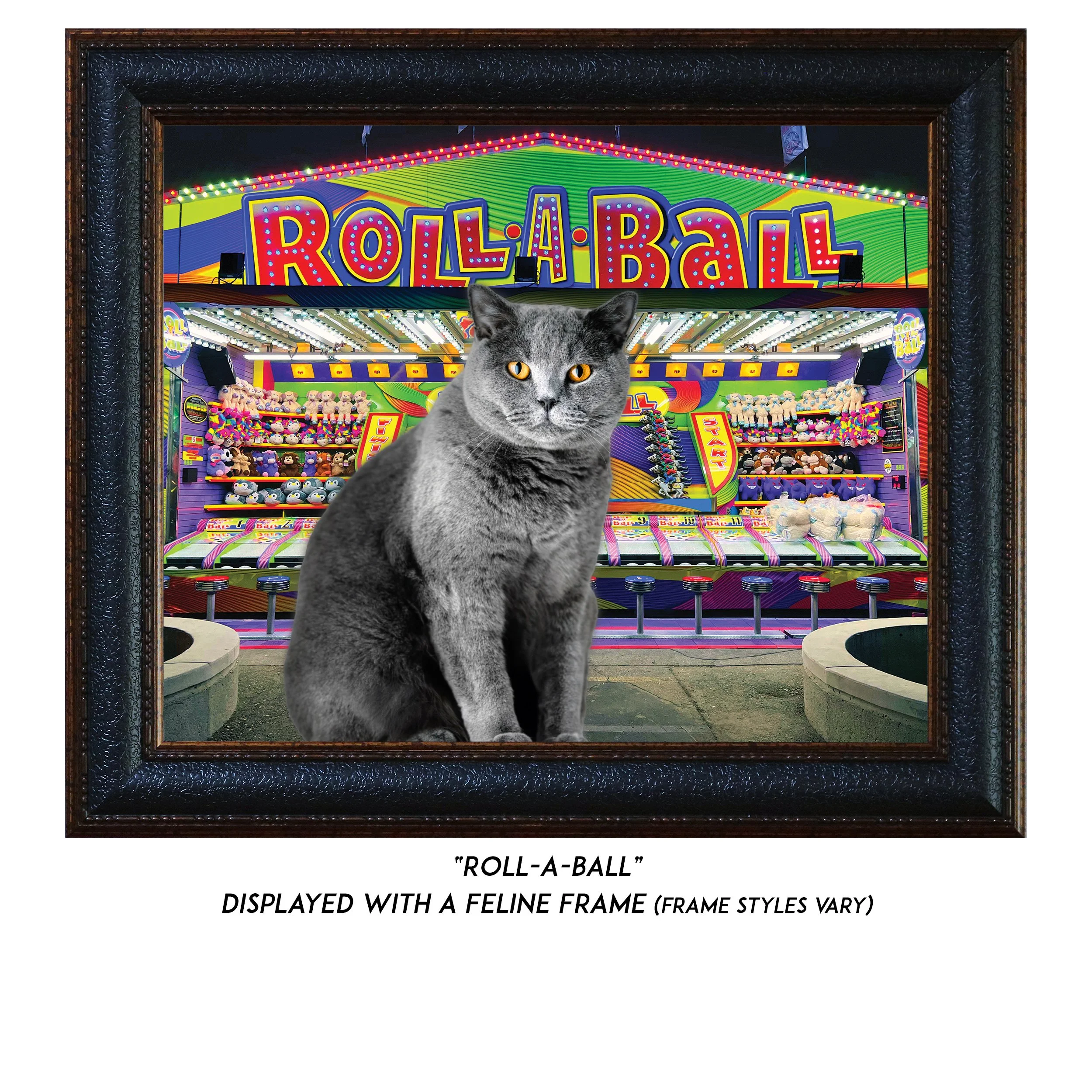 Roll-a-Ball-CAT.jpg
