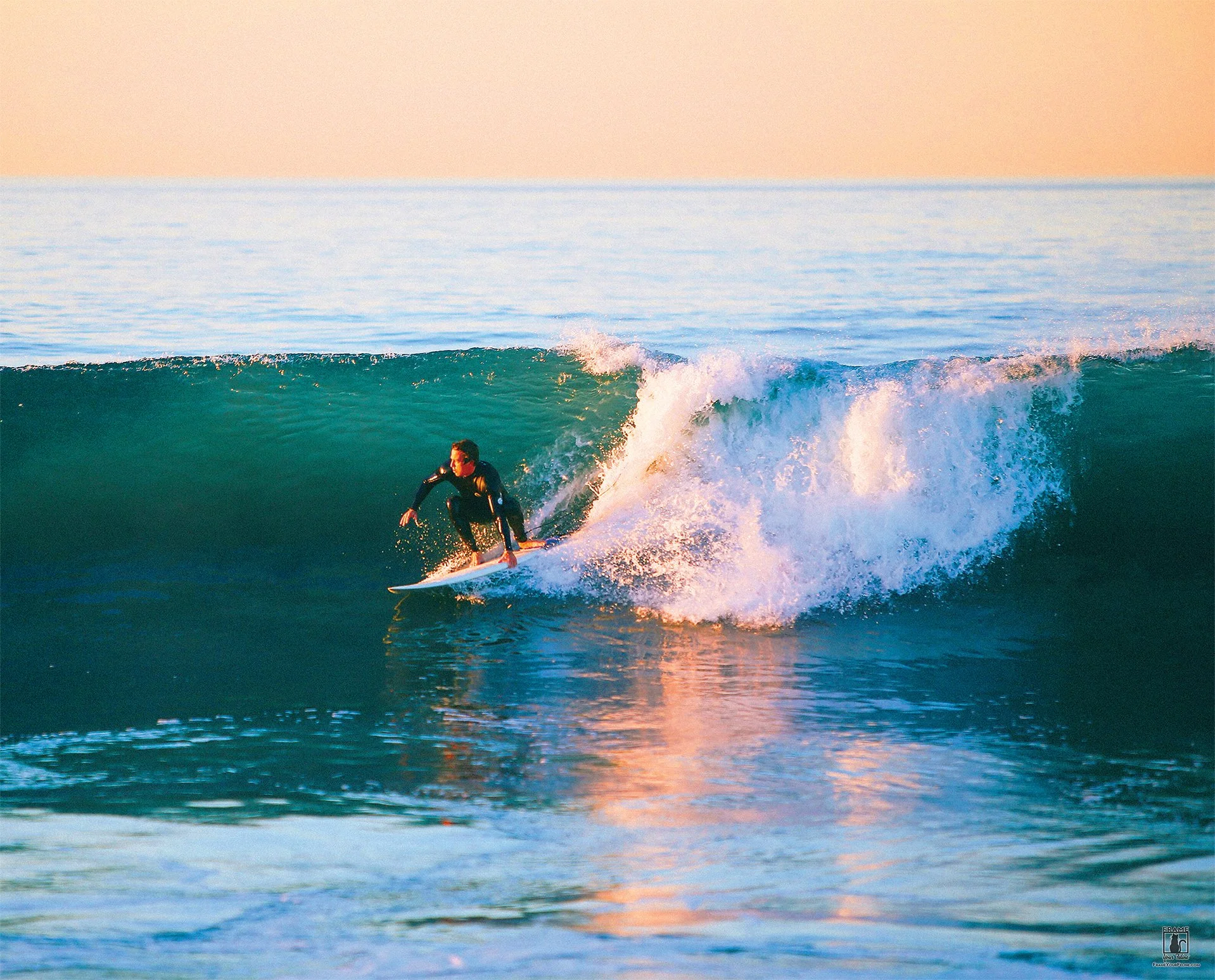 Chasing-Summer-T.jpg