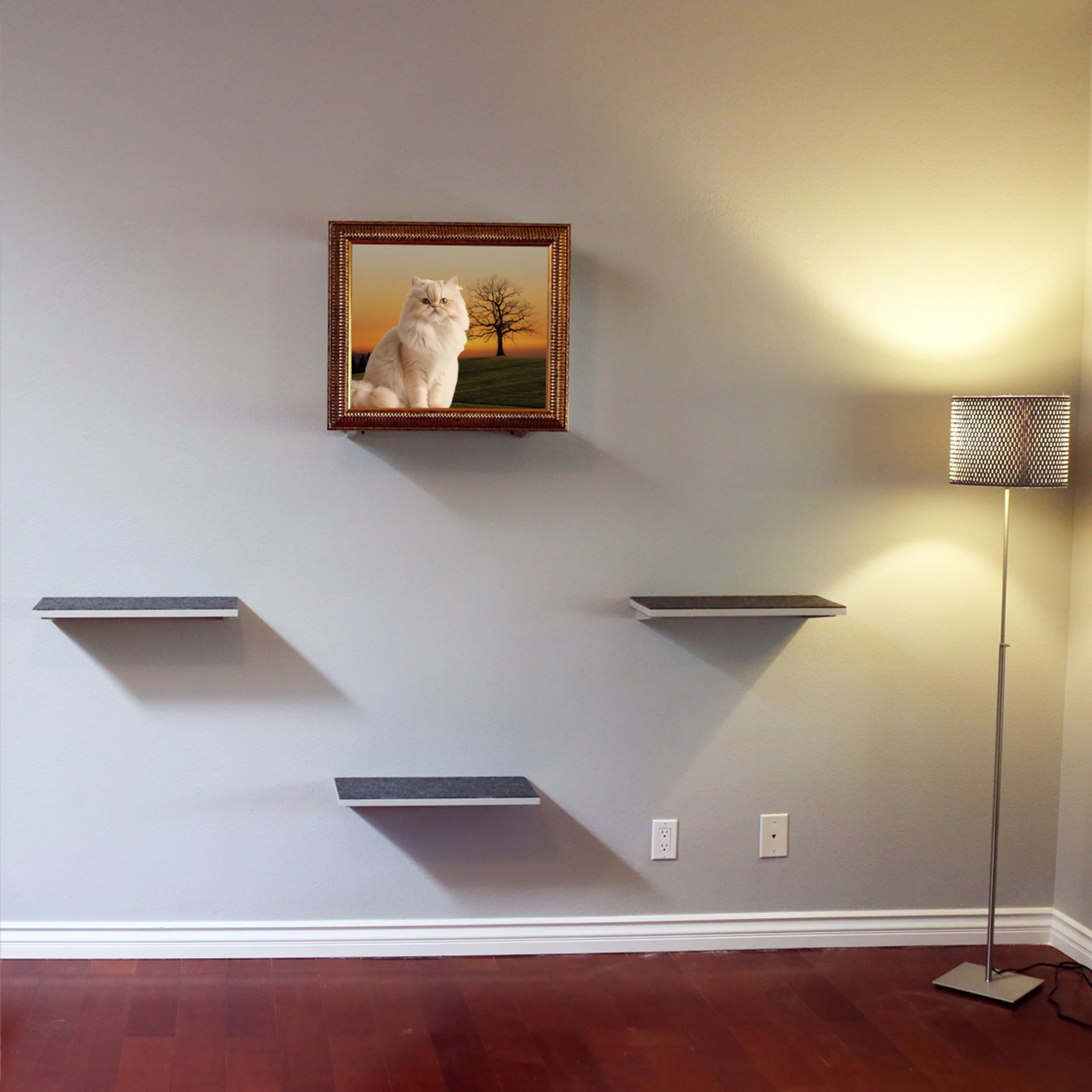 Feline-Frame-Shelves-3B.jpg