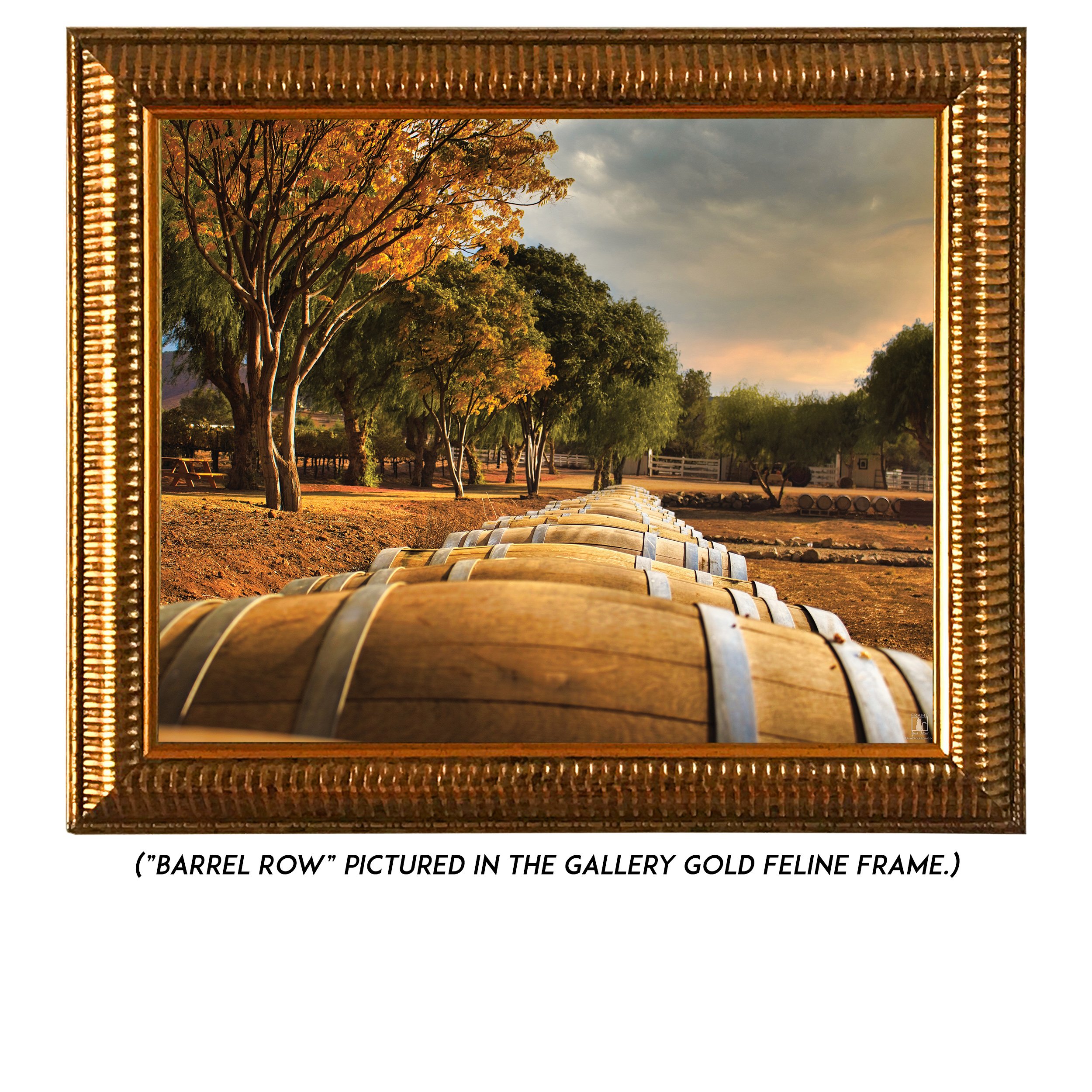 Barrel-Row-G.jpg