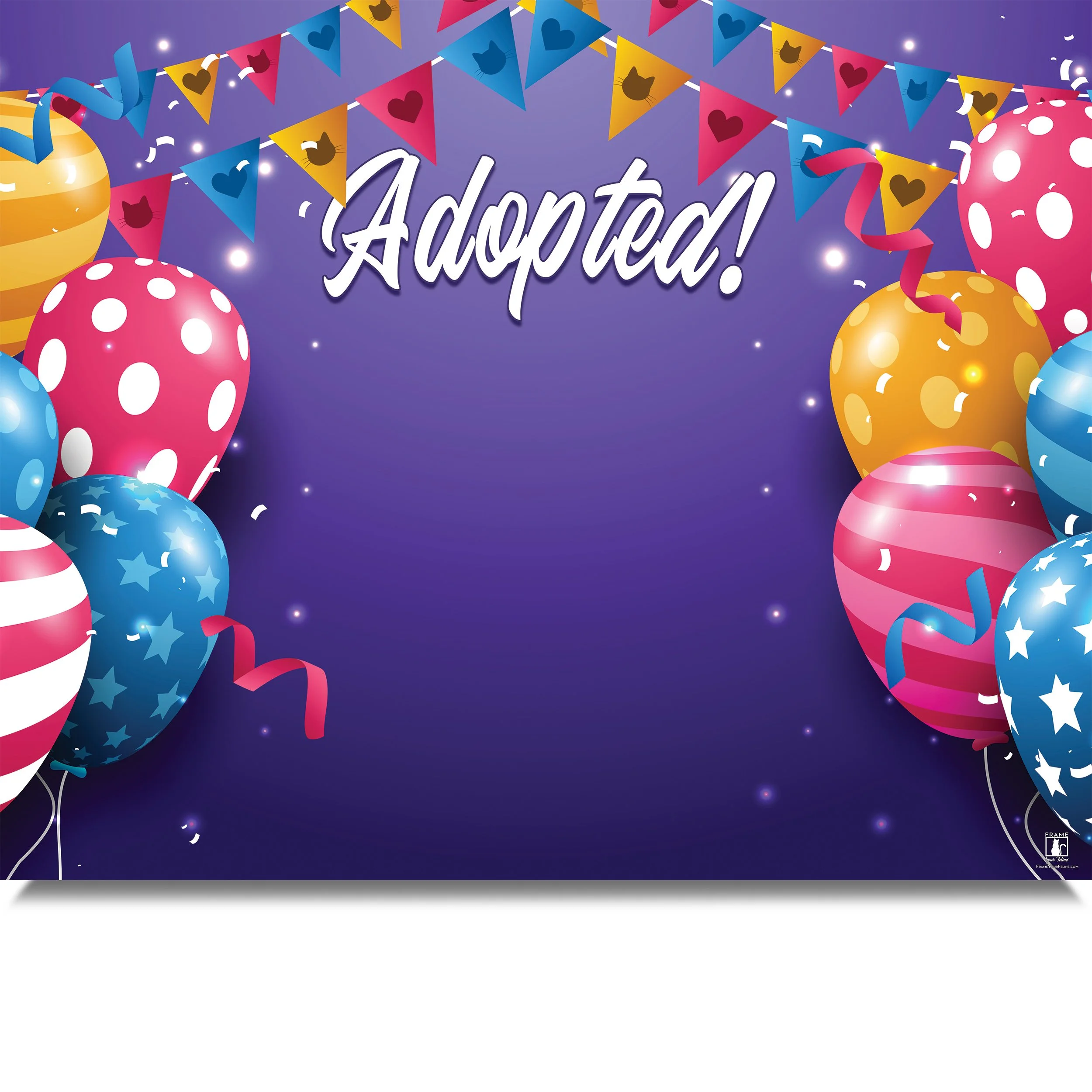 Adopted-(Balloon-Party)-MB.jpg