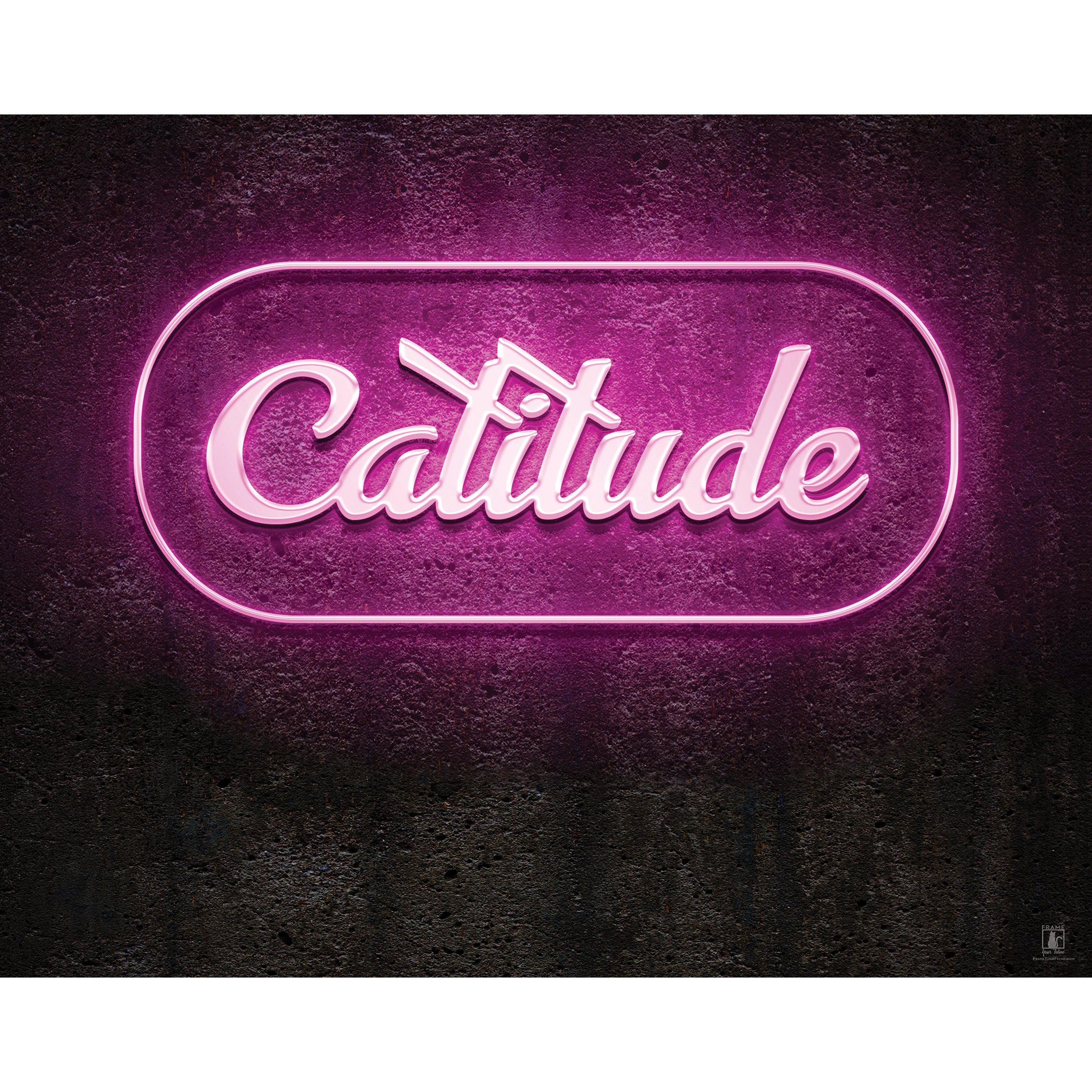 "Catitude" (Pink) | By Brian Vermeire