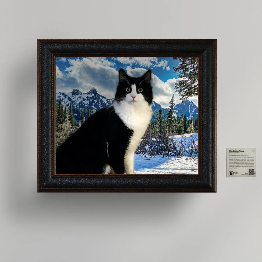 Cat 2.jpg
