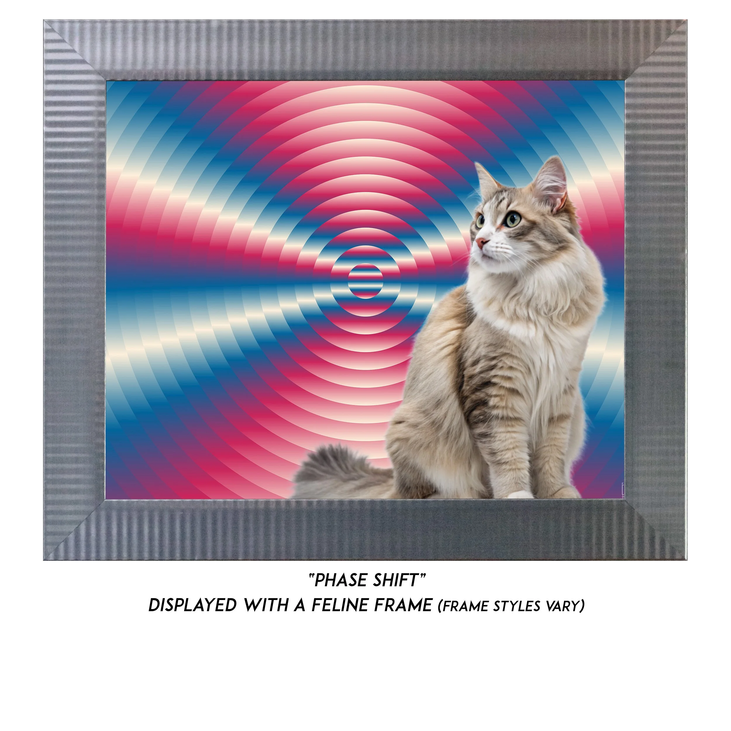 Phase-Shift-CAT.jpg