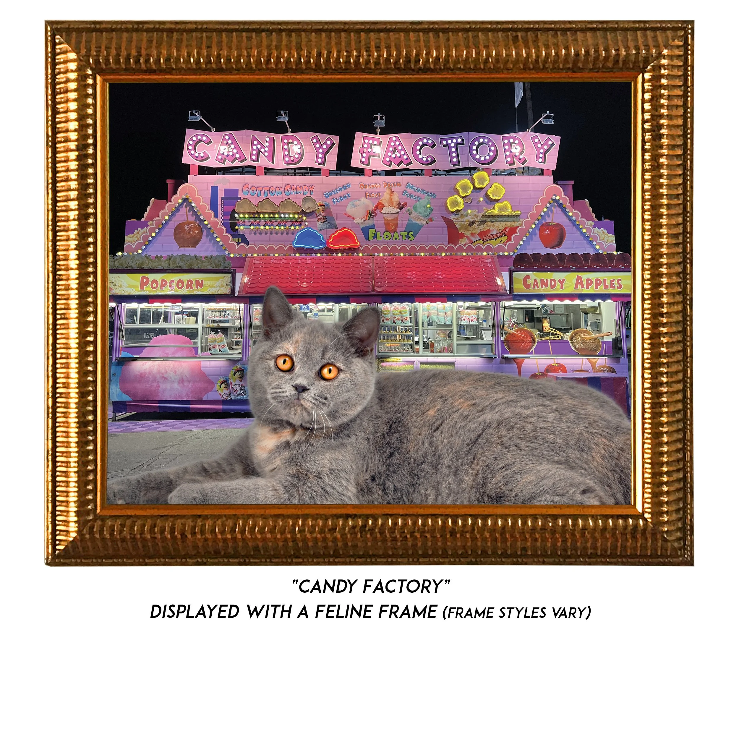 Candy-Factory-CAT.jpg