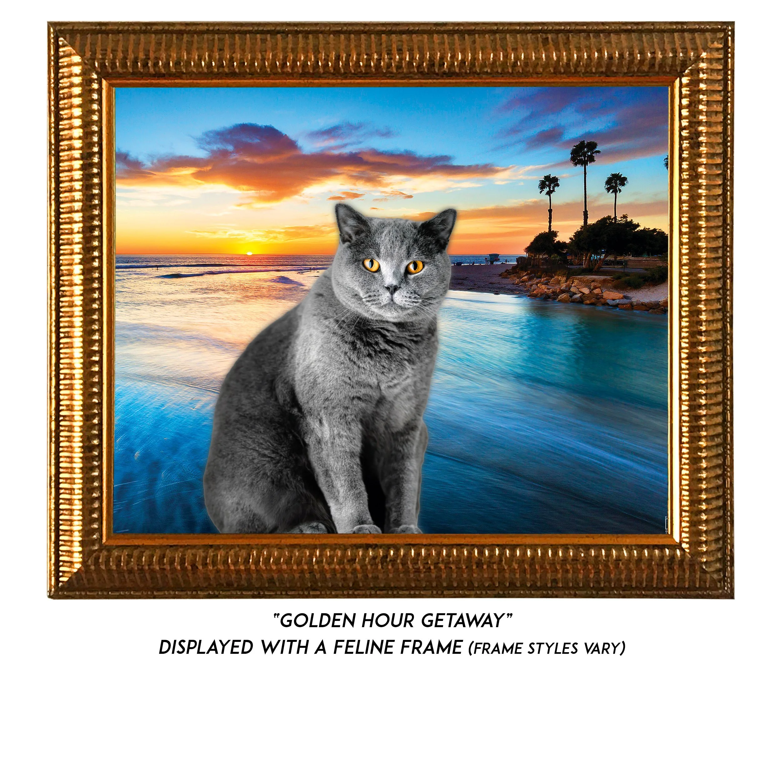 Golden-Hour-Getaway-CAT.jpg