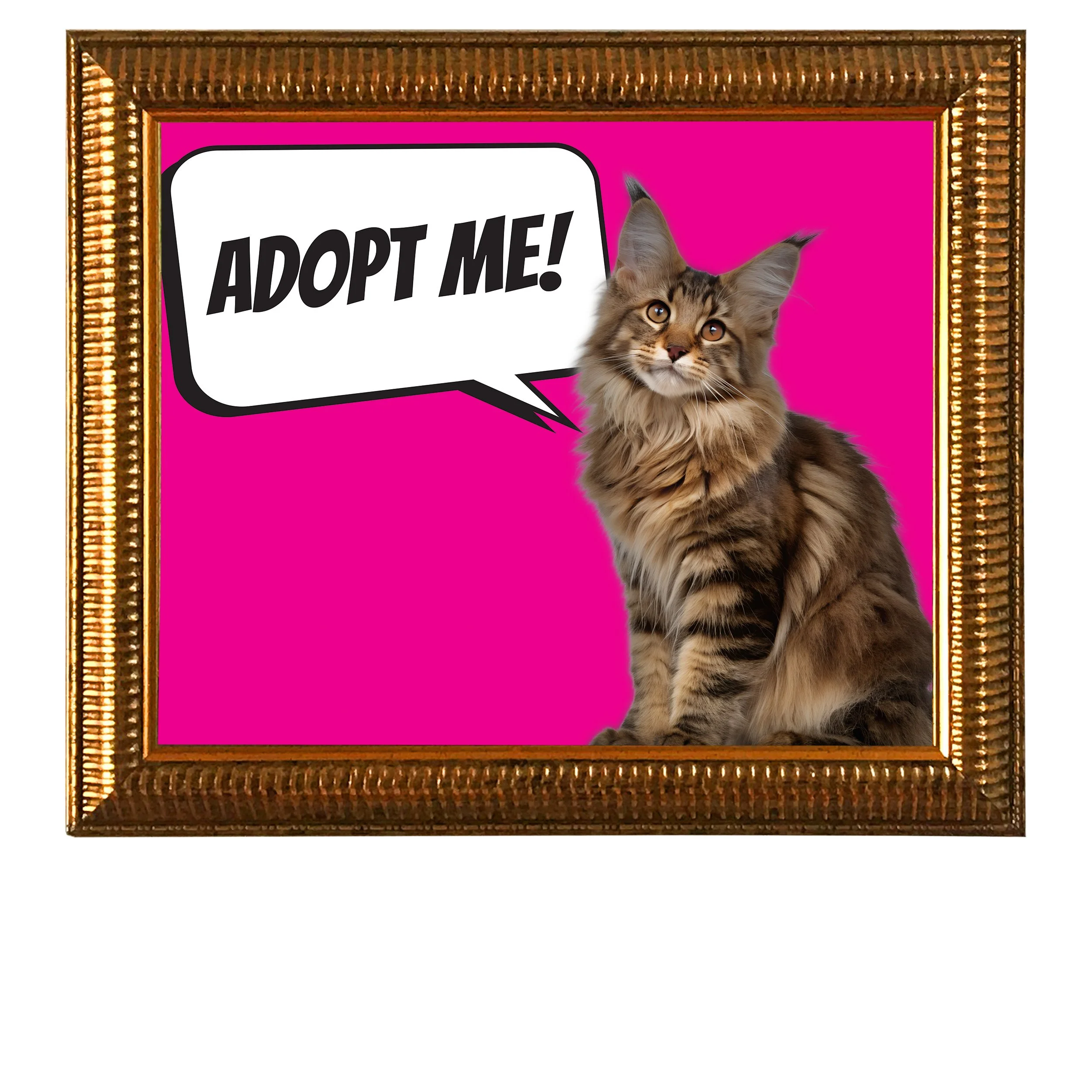 Adopt-Me-(Magenta)-CAT.jpg