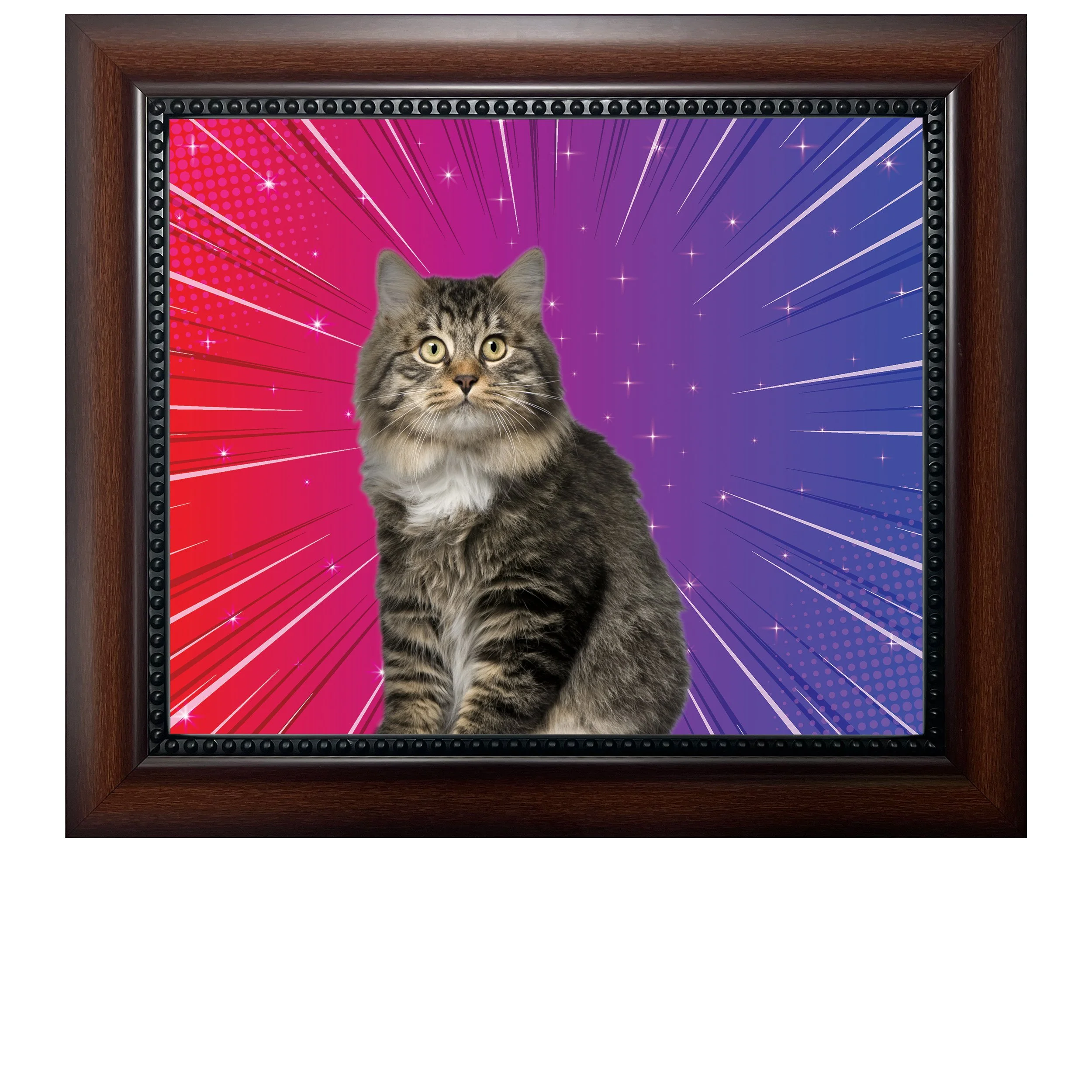 Sparkle-Burst-CAT.jpg