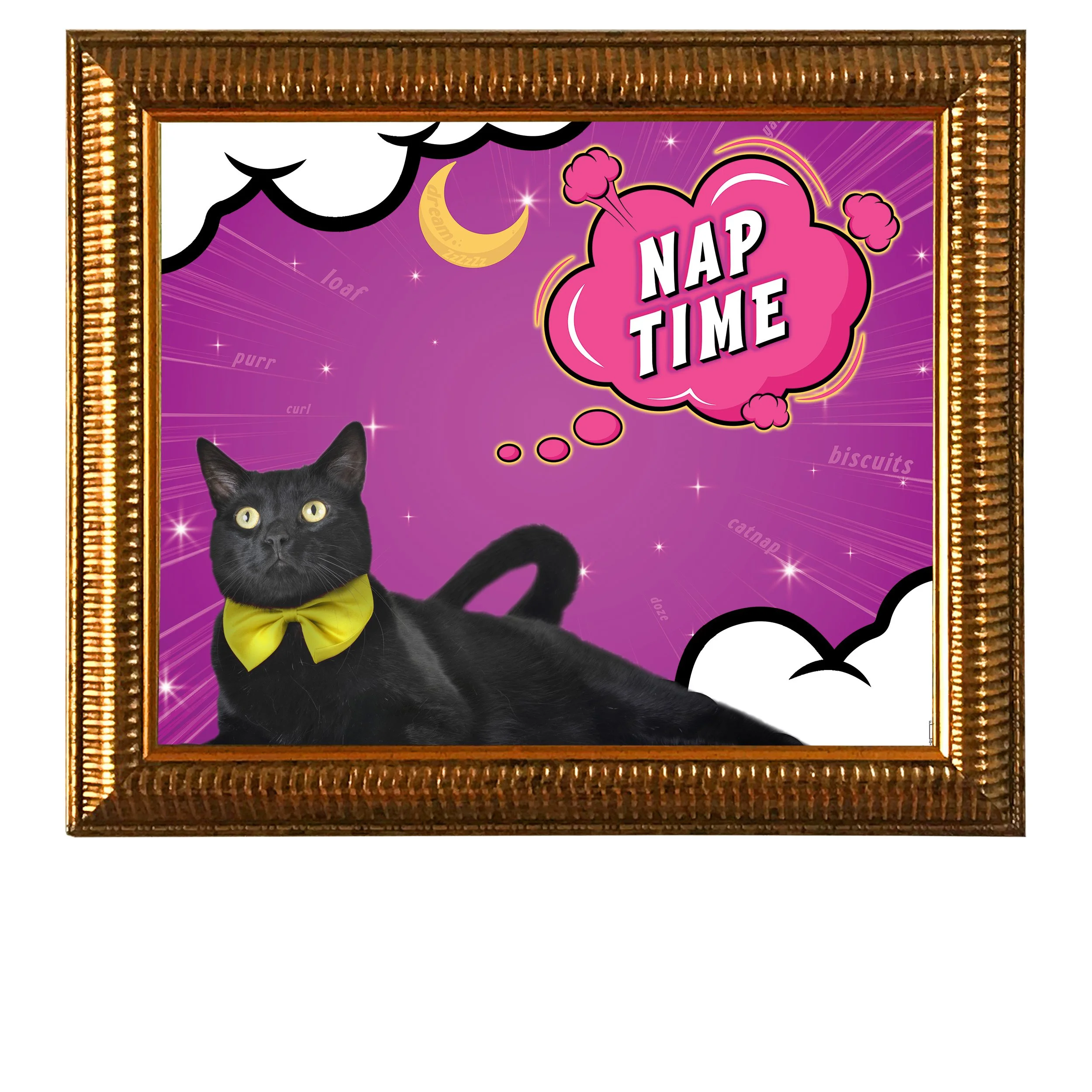 Nap-Time-CAT.jpg