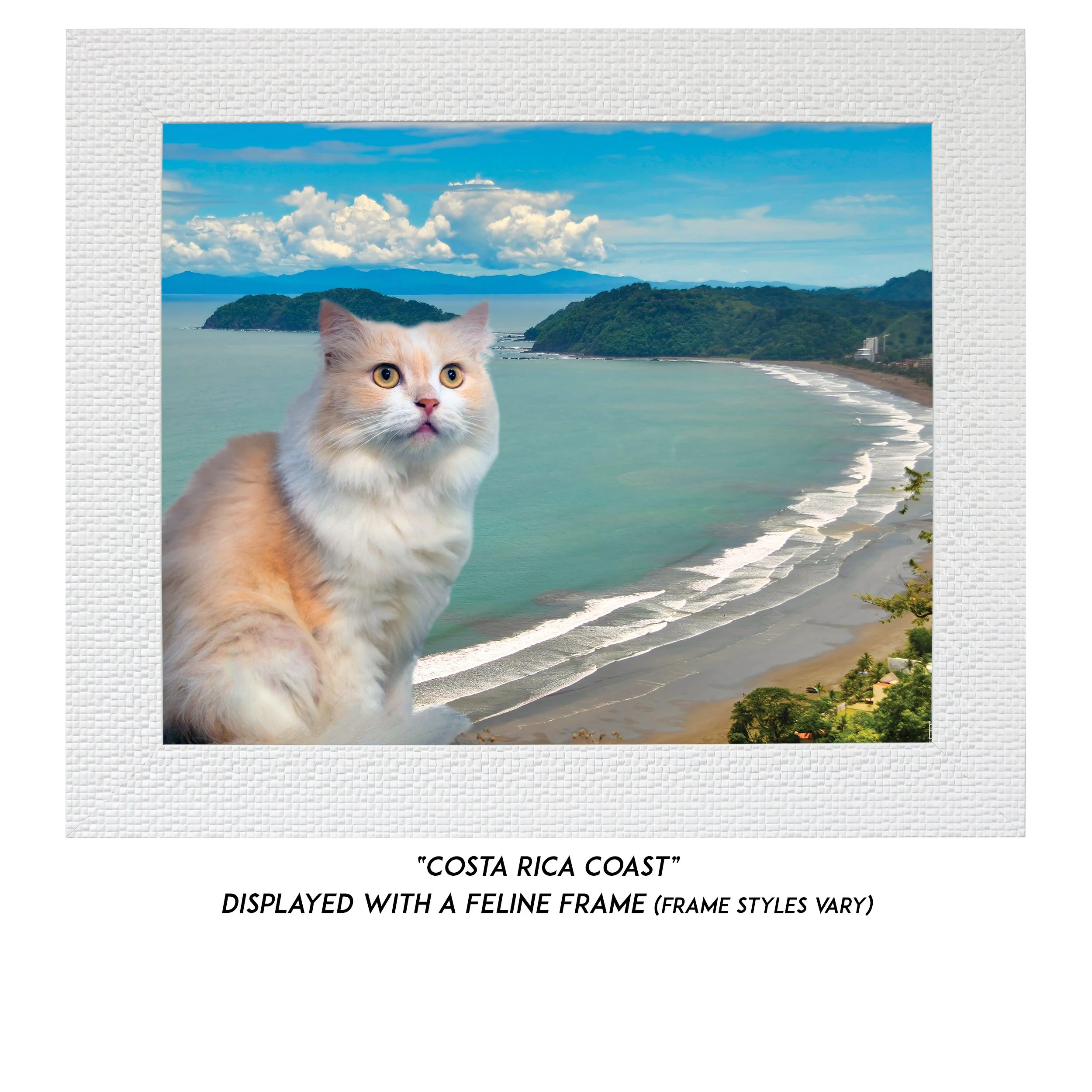 Costa-Rica-Coast-CAT.jpg (Copy)