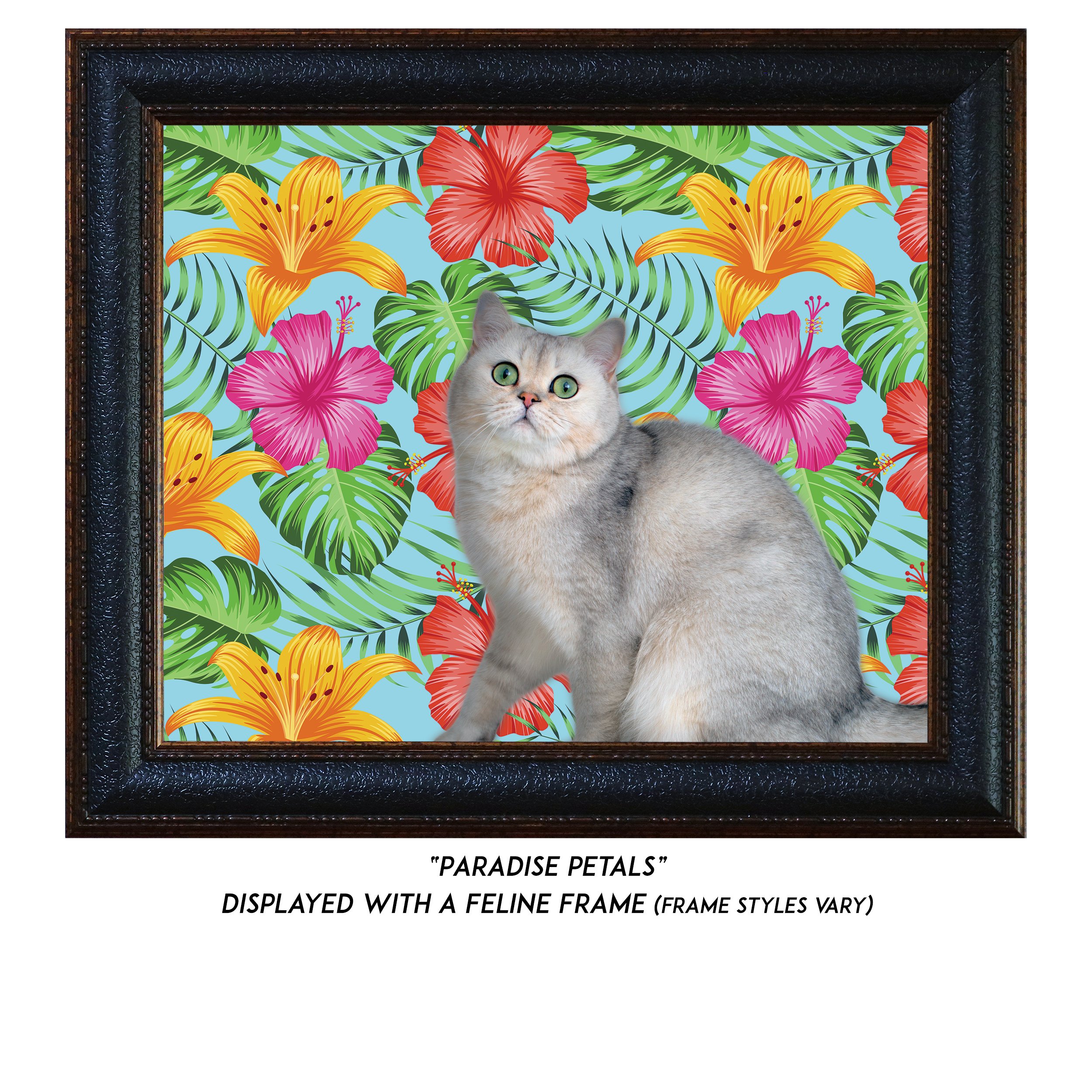 Paradise-Petals-CAT.jpg
