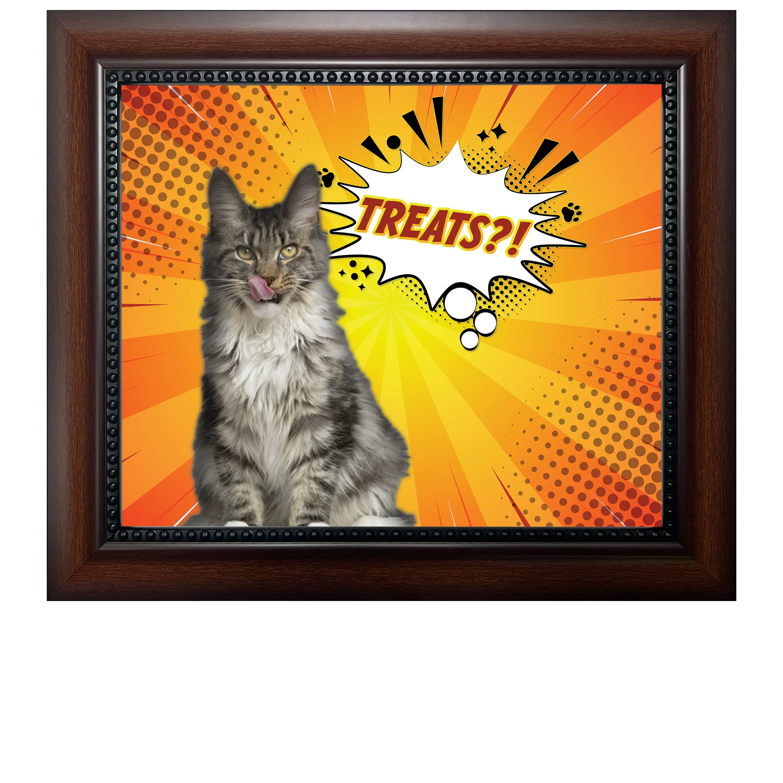 Treats-CAT.jpg