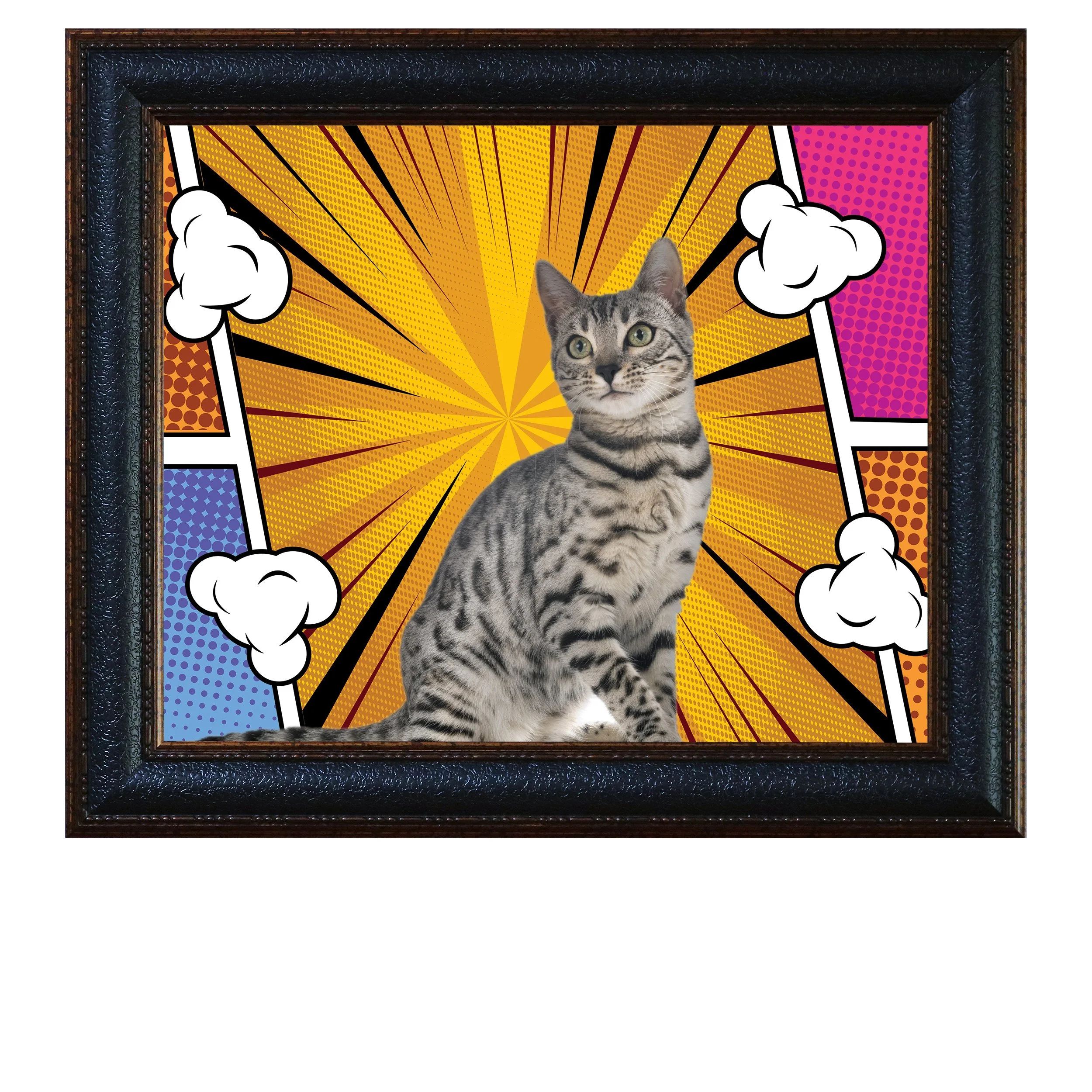 Whisker-Hero-CAT.jpg
