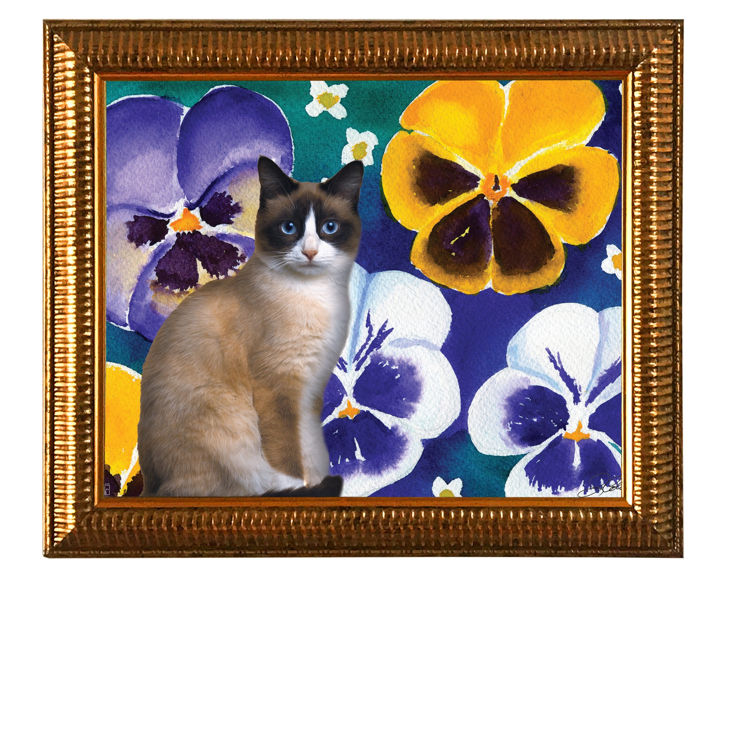 Pansies-CAT.jpg