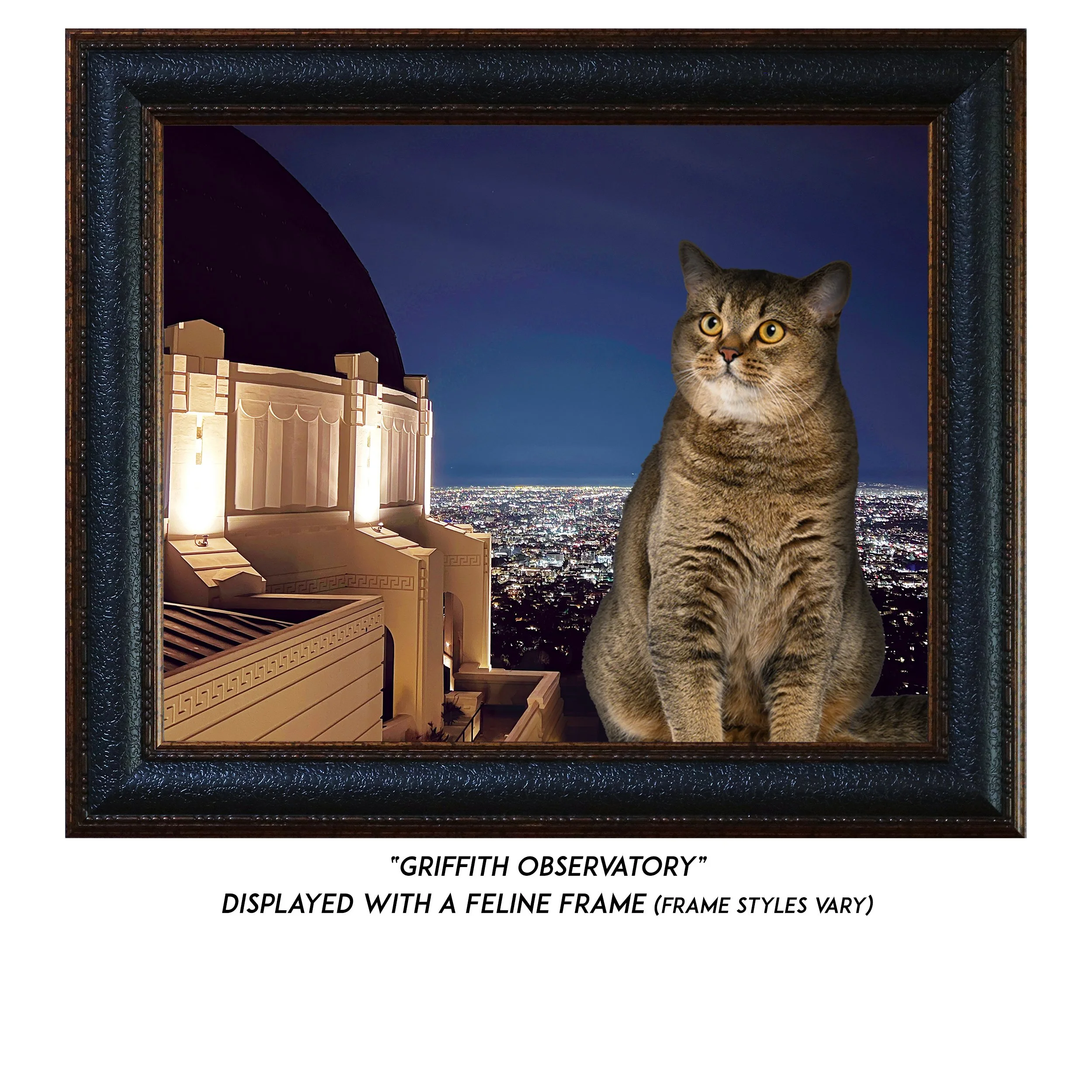 Griffith-Observatory-CAT.jpg
