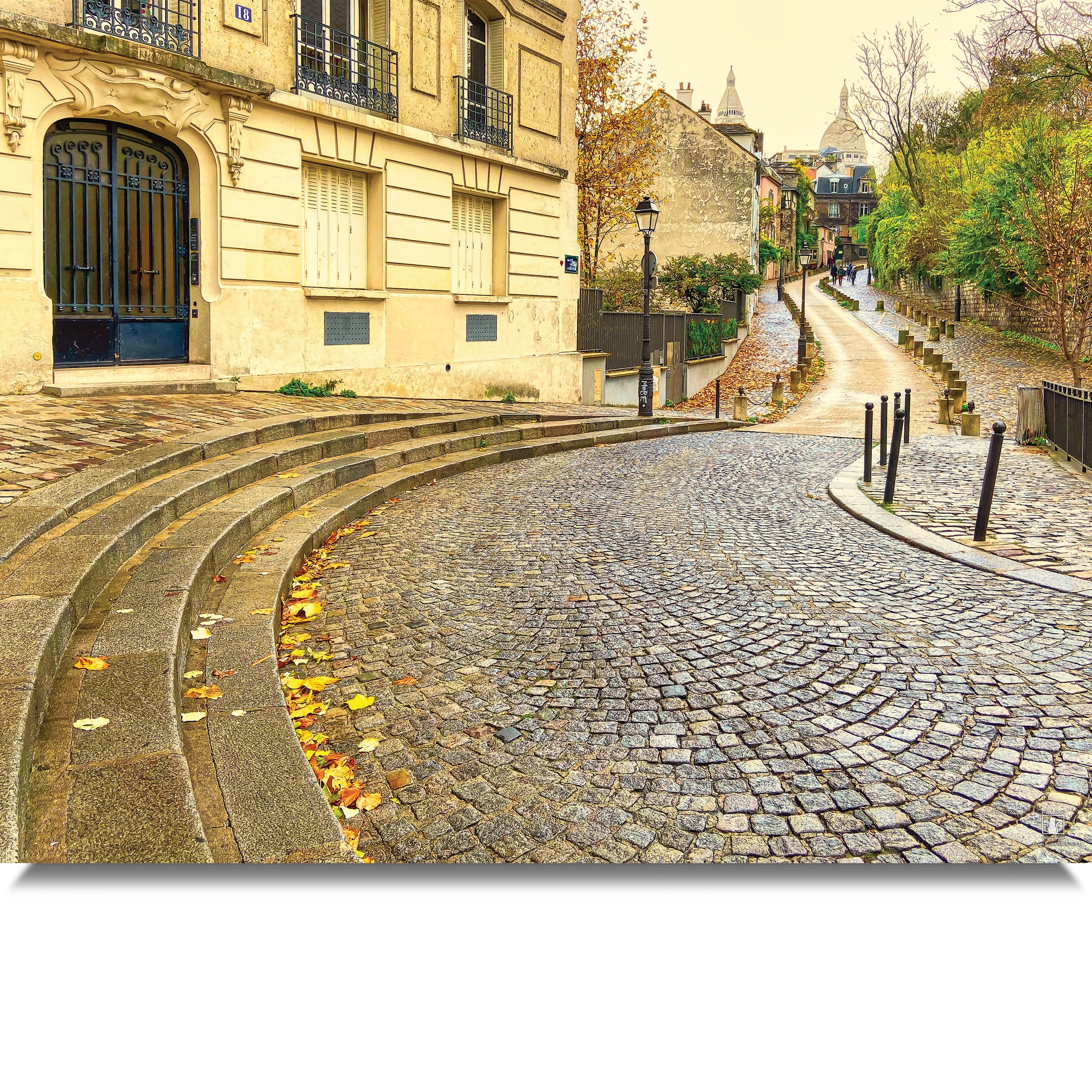 Montmarte-Curves-MB.jpg