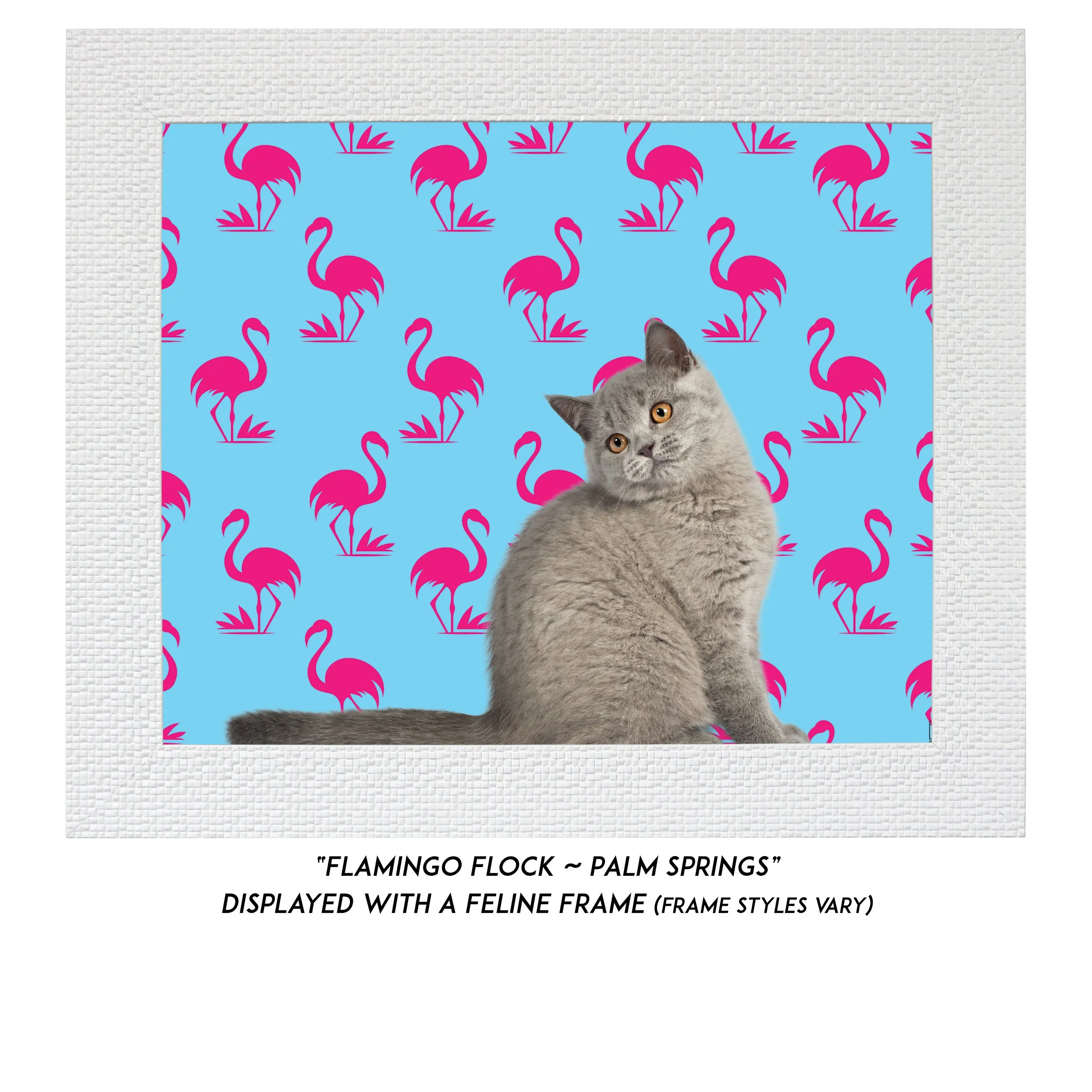 Flamingo-Flock-Palm-Springs-CAT.jpg