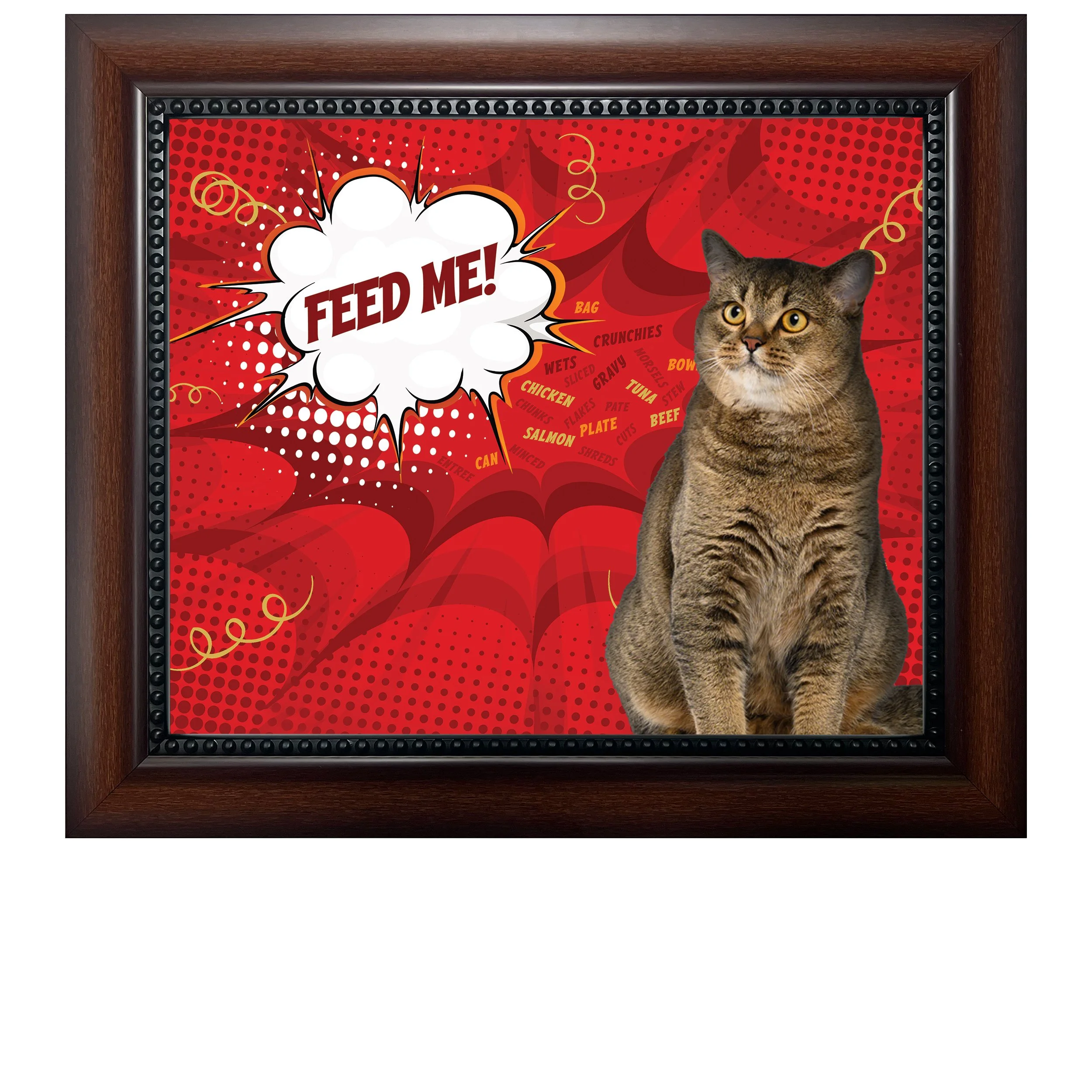 Feed-Me-CAT.jpg