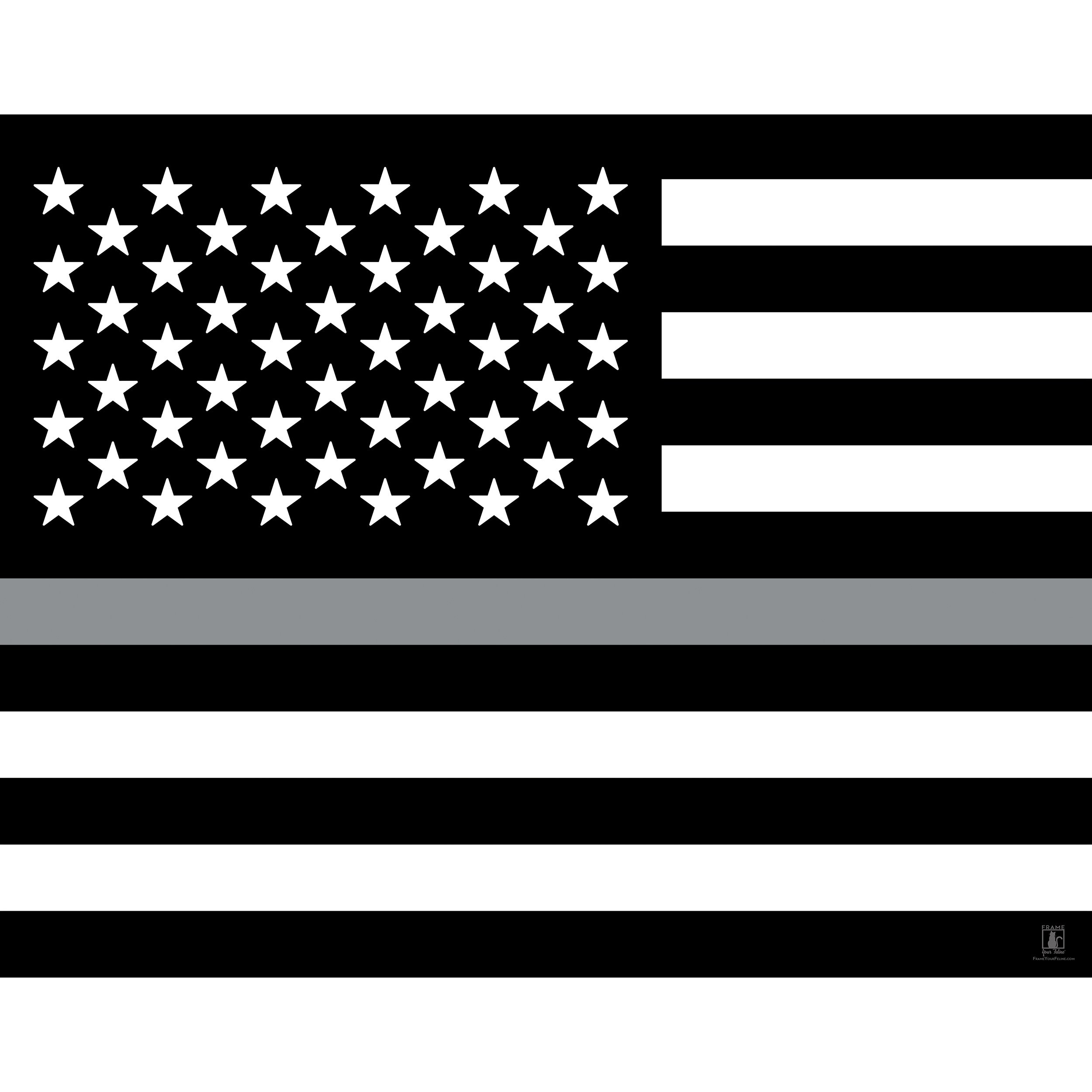 "Thin Silver Line Flag (Corrections)"